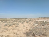A wide open vacant lot with natural desert vegetation under a clear sky.