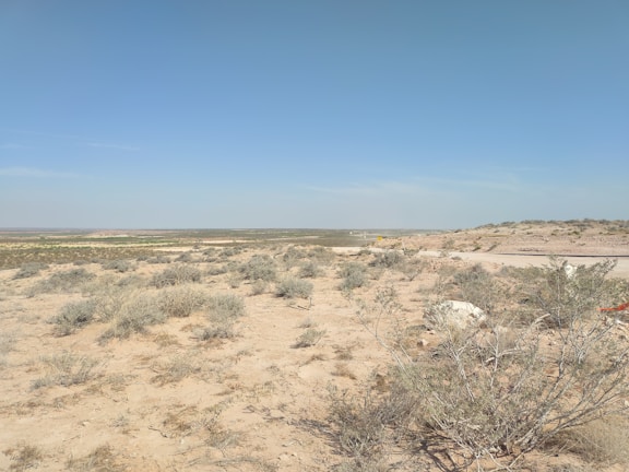A wide open vacant lot with natural desert vegetation under a clear sky.