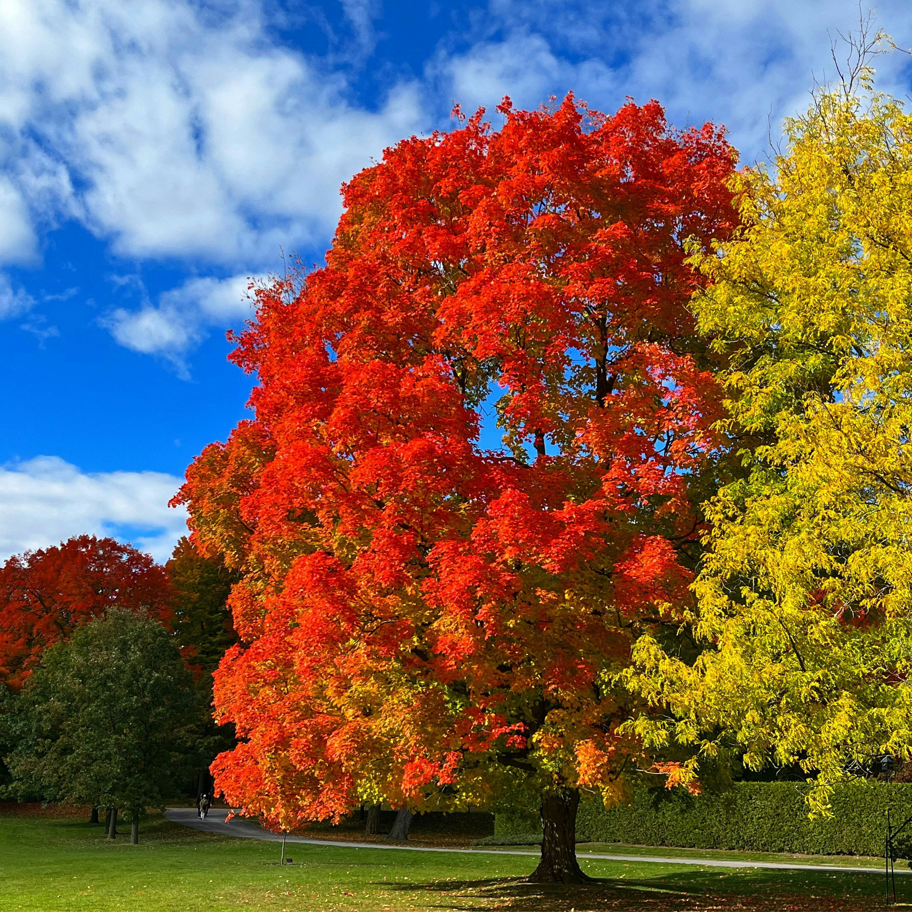 Photo by myunspokenocean