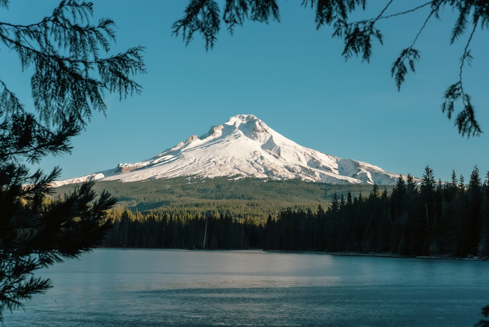 a snowy mountain behind Mount Hood