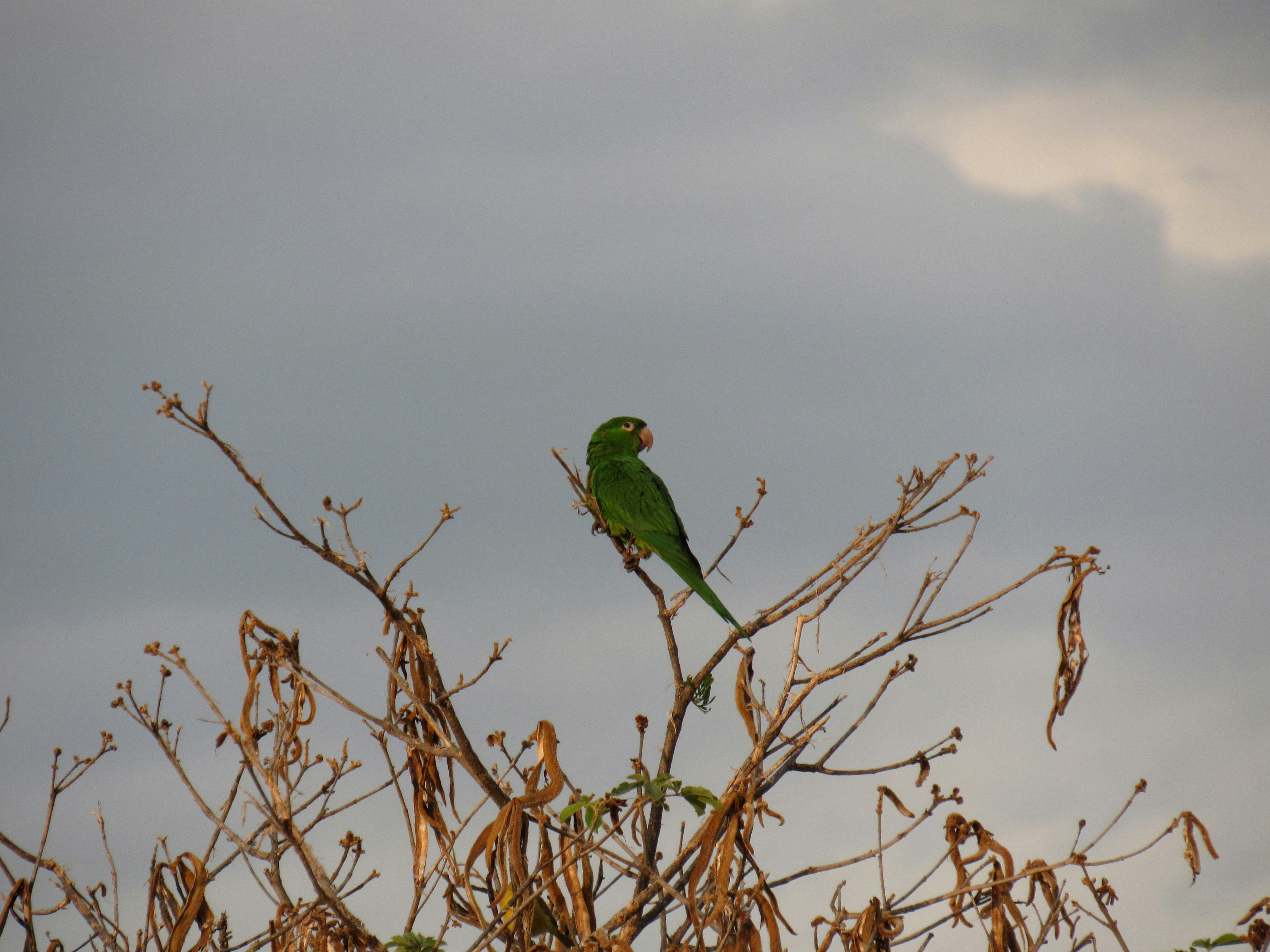 Photo by giustoluana