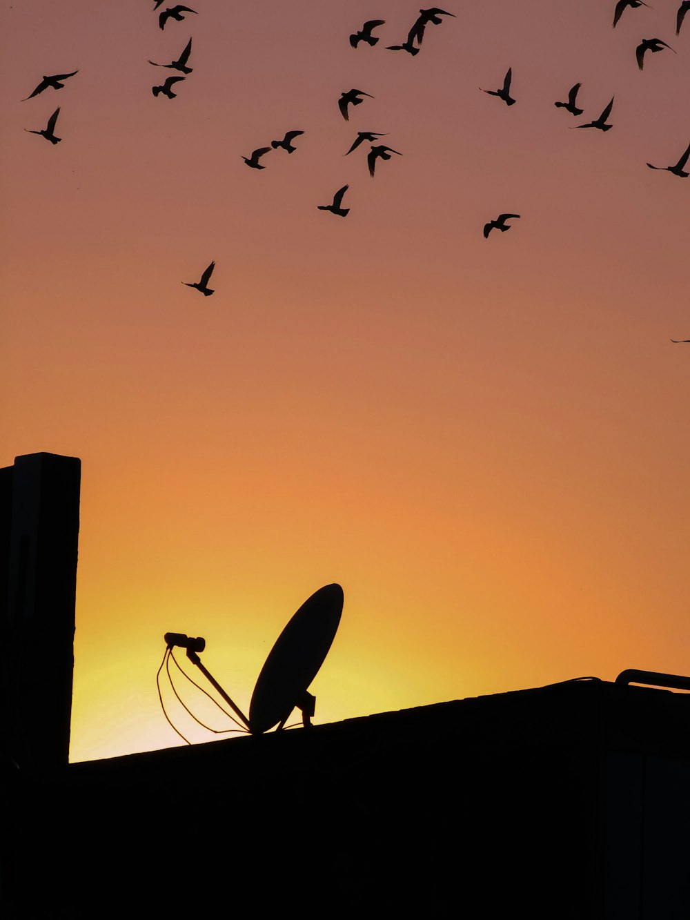 a silhouette of a person with a fishing pole and birds flying in the sky