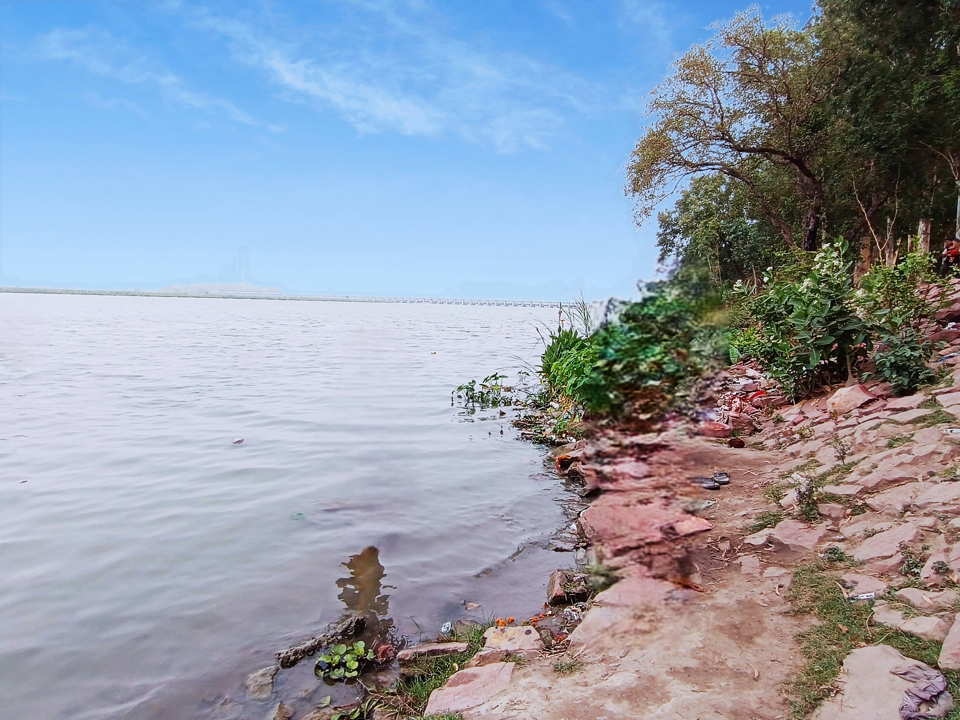 a rocky beach with trees and bushes