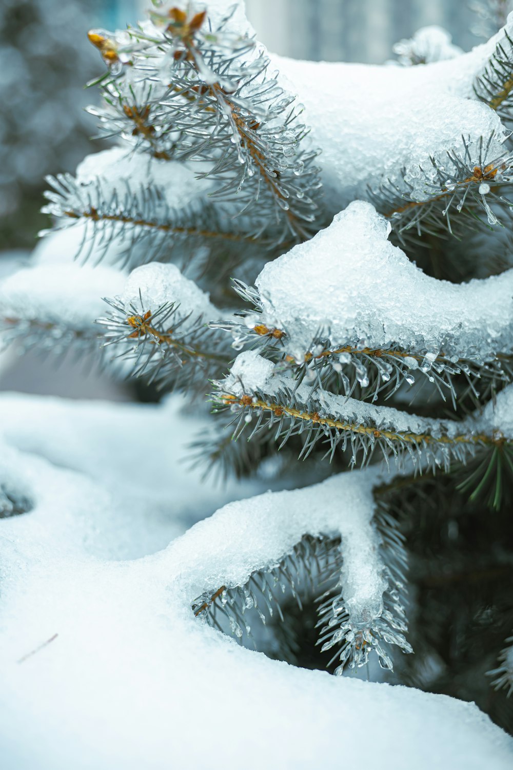 a close up of some snow