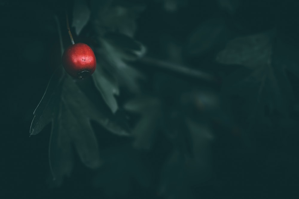 a red ball on a black background