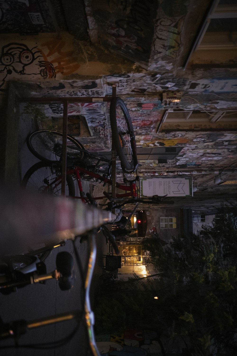 自転車と木のある部屋