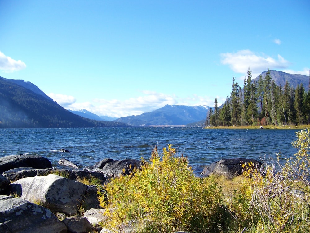 a body of water with rocks and trees around it