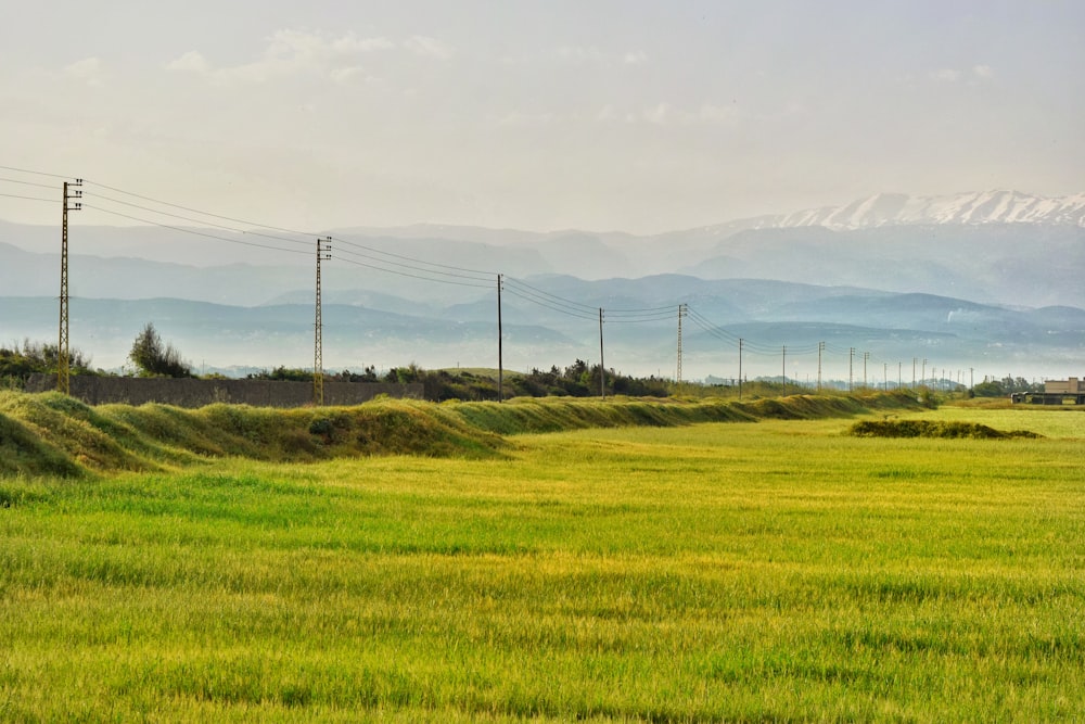 um grande campo verde