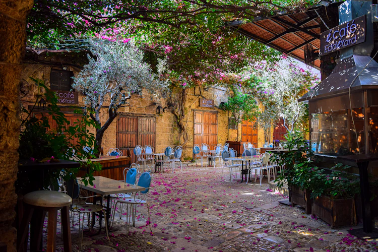 Vineyard Estate – Bekaa Valley, Zahle