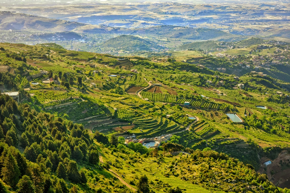 a landscape with trees and buildings