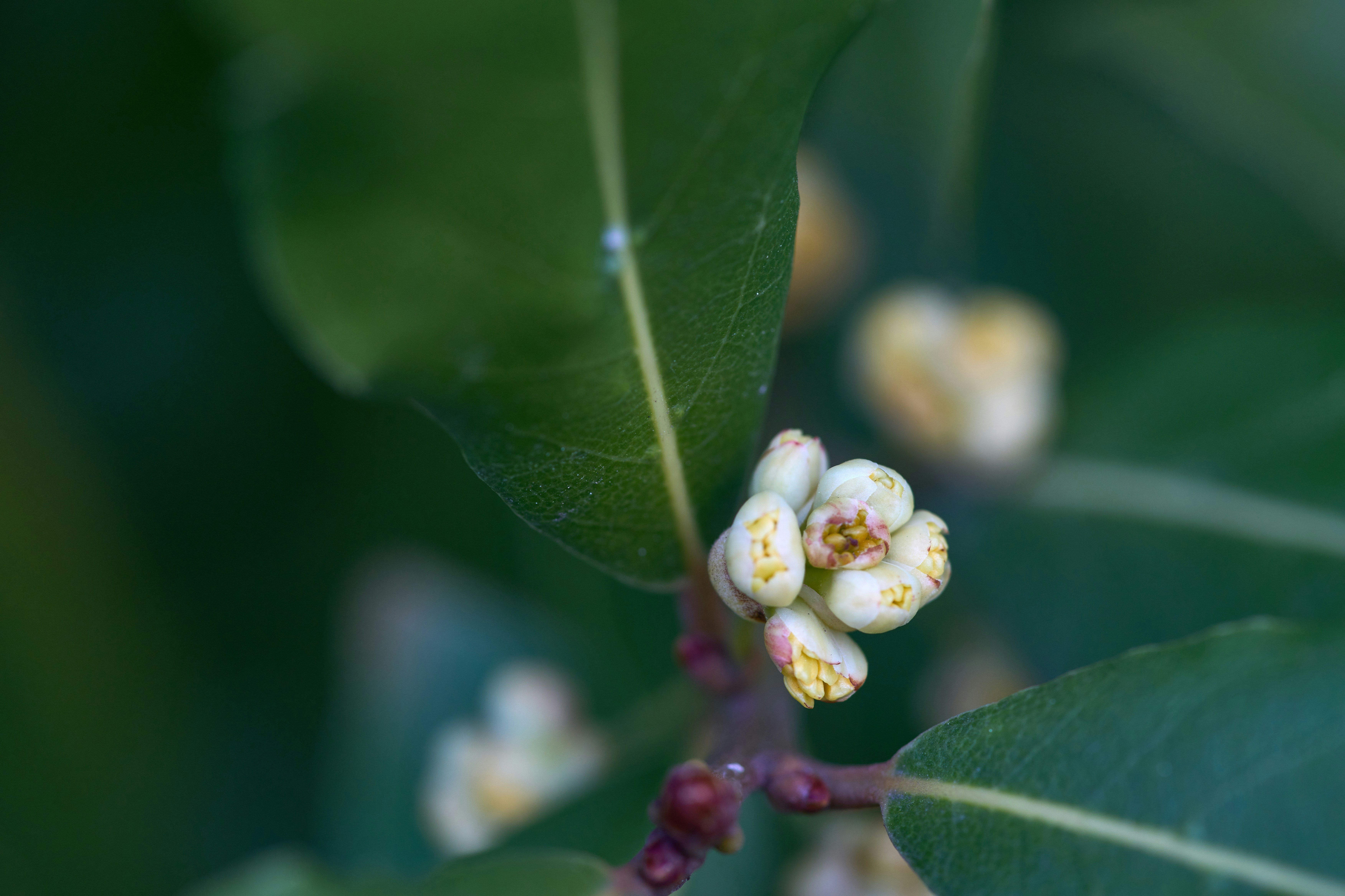 Photo by wolfgang_hasselmann