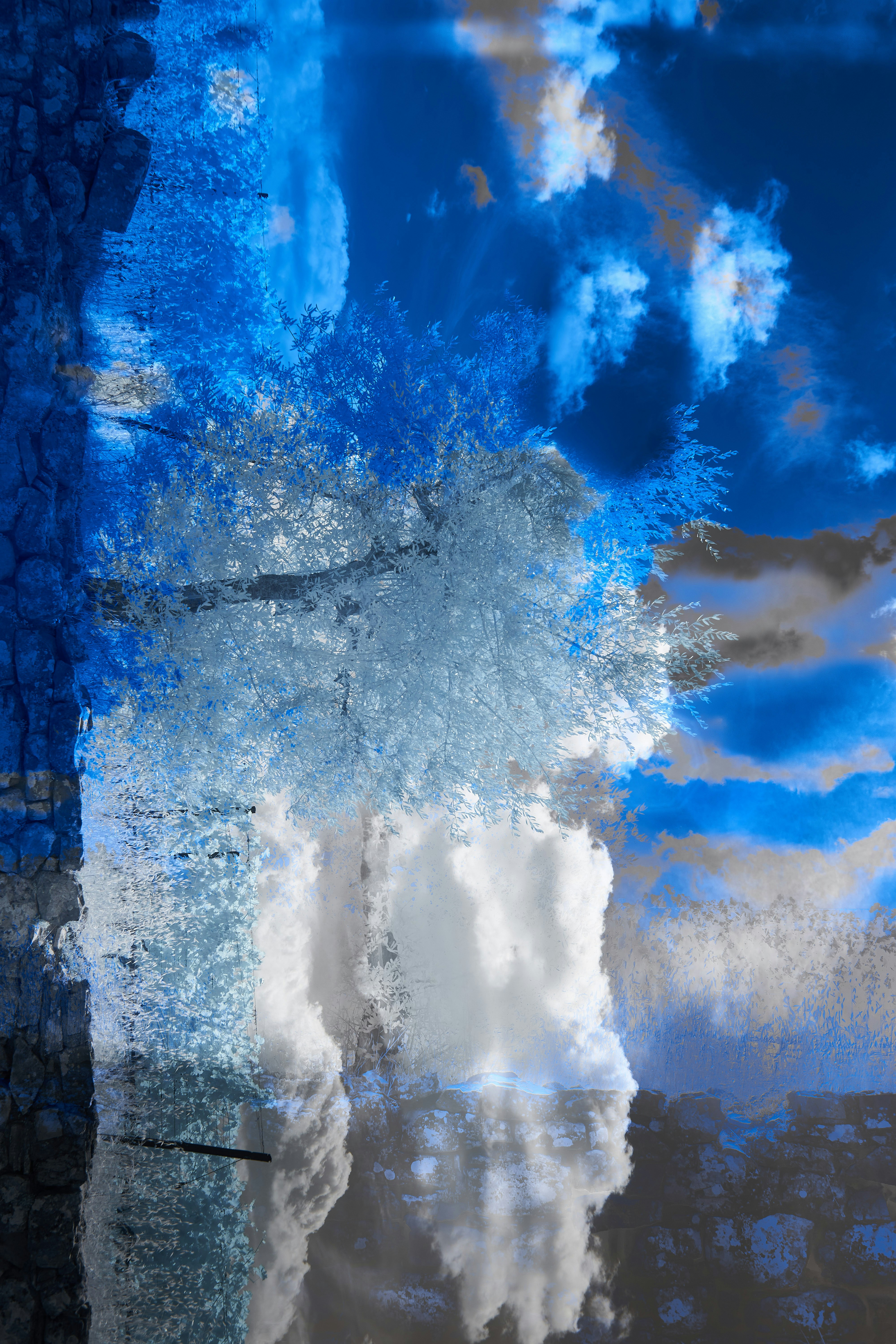 Photo by wolfgang_hasselmann