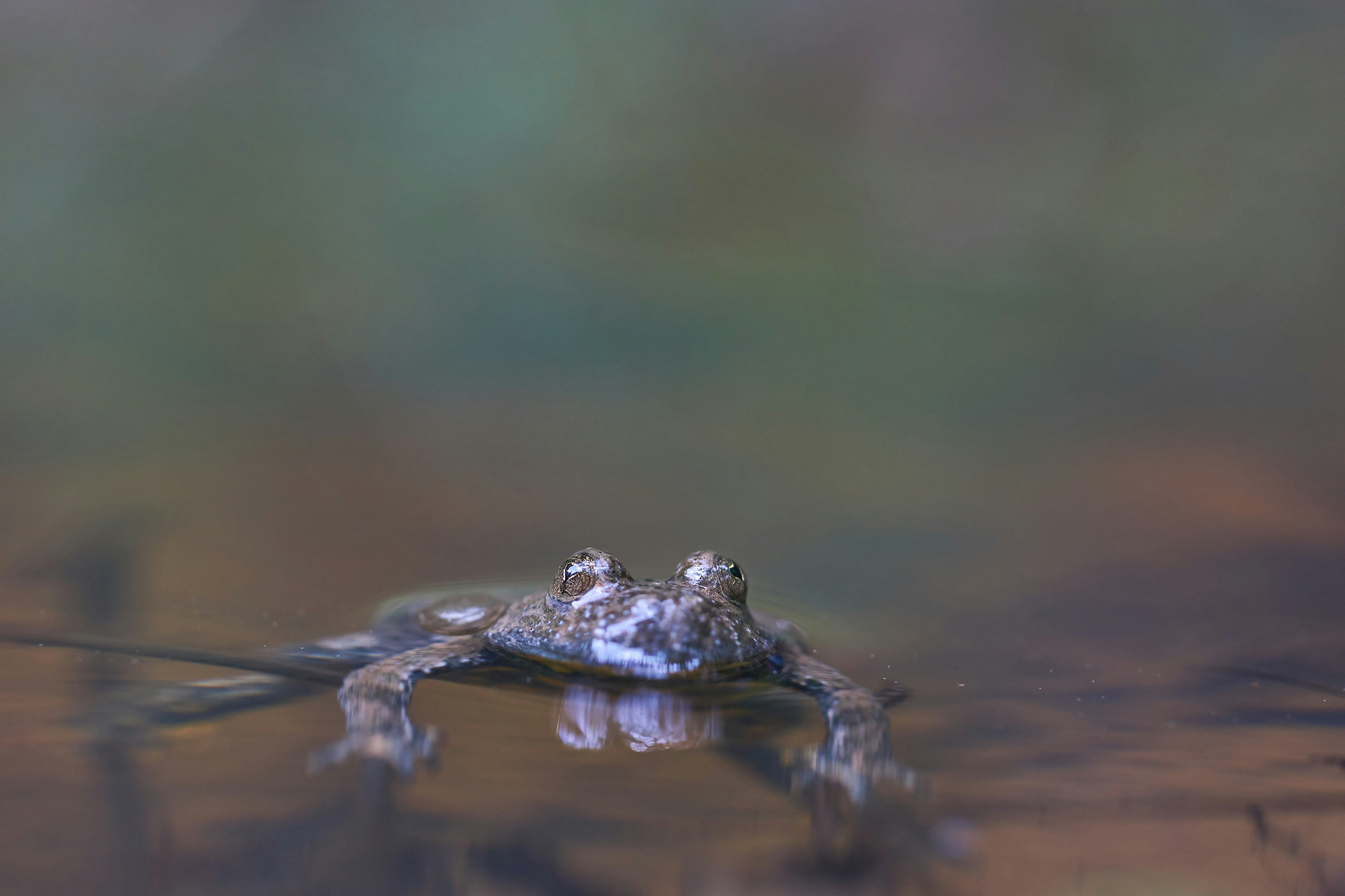 Photo by wolfgang_hasselmann