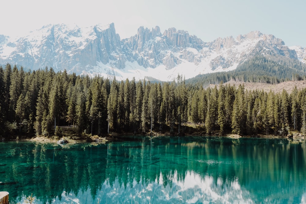 a lake with trees and mountains in the background