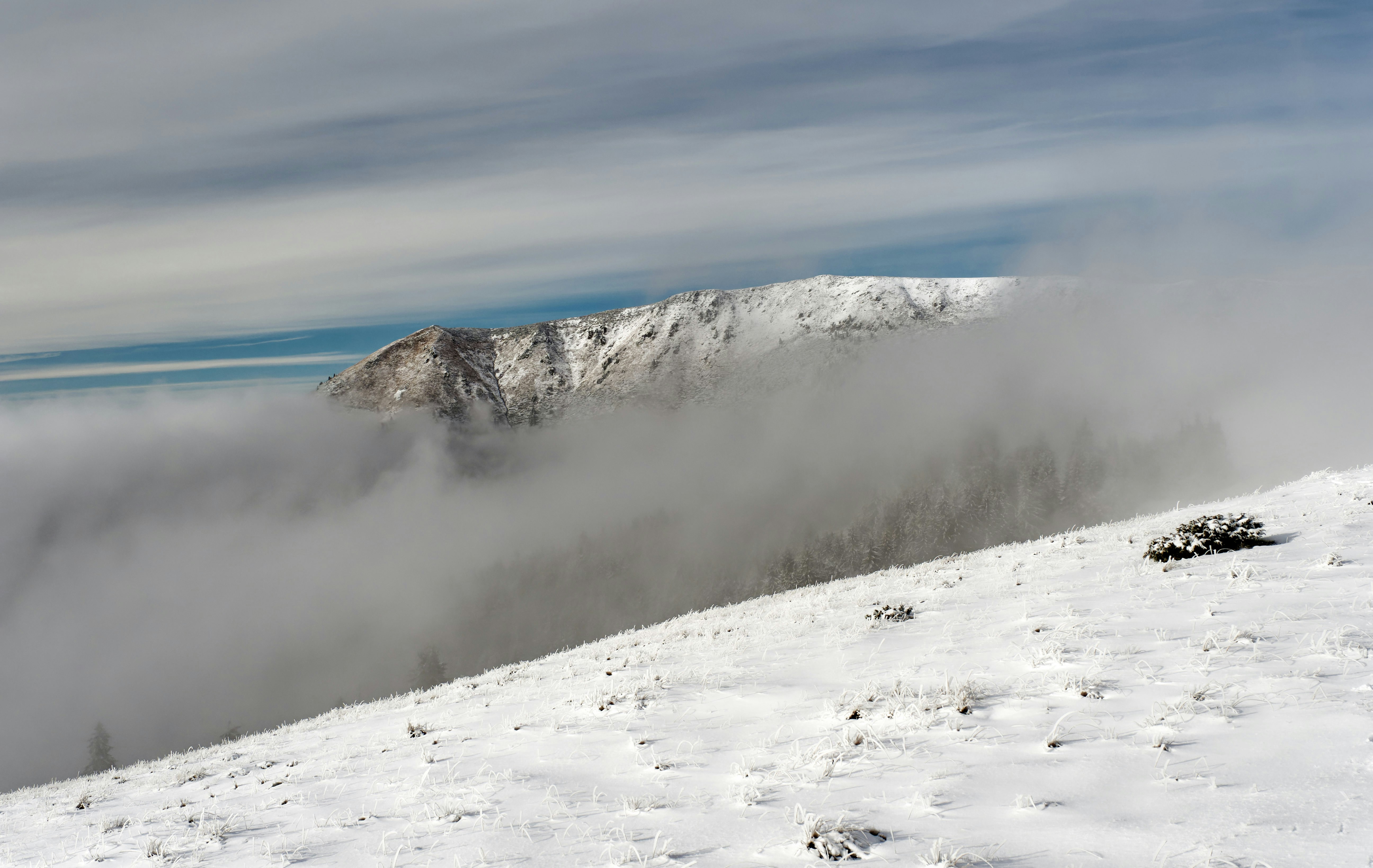 Photo by illes_cristi