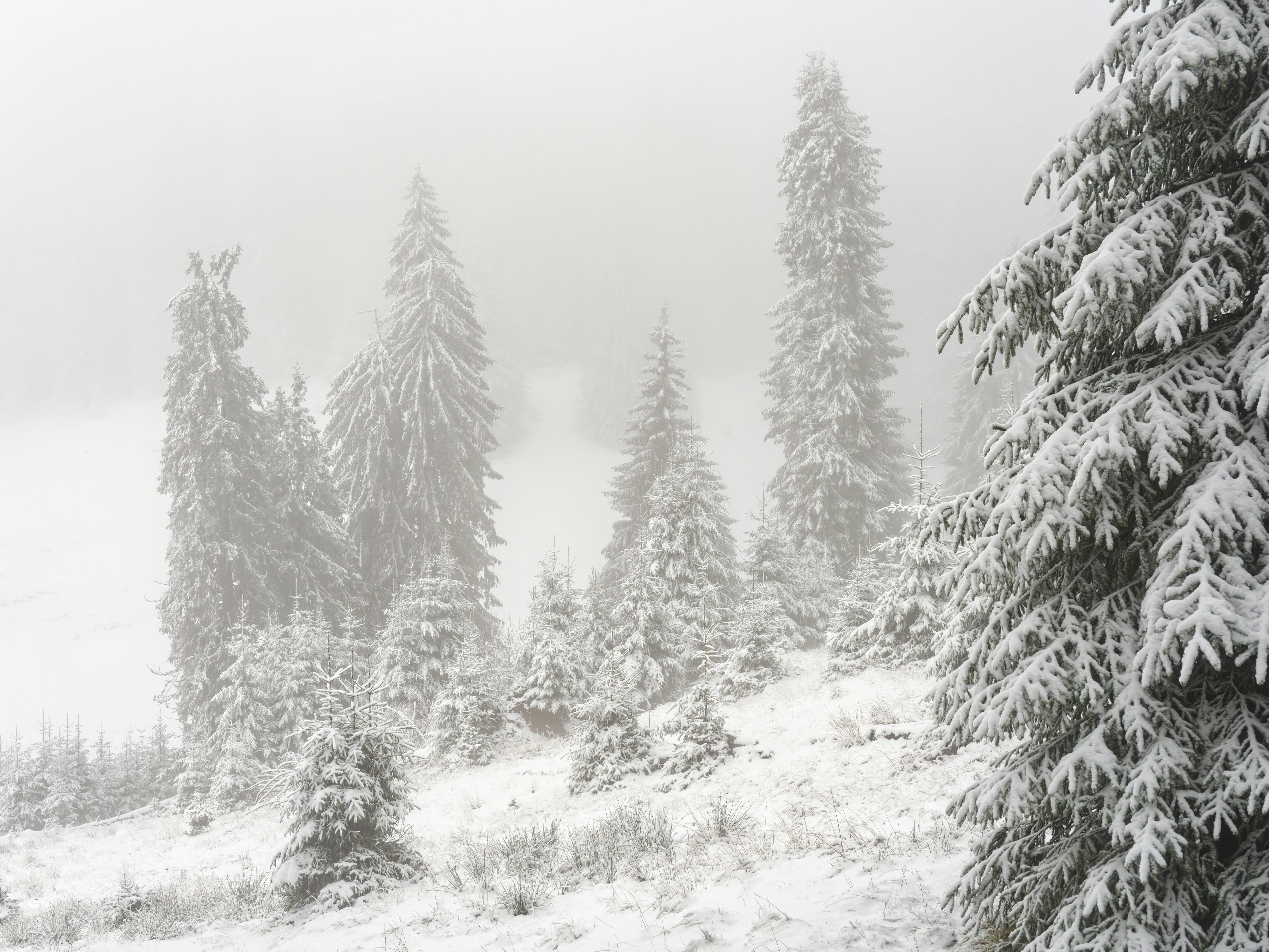 Photo by illes_cristi