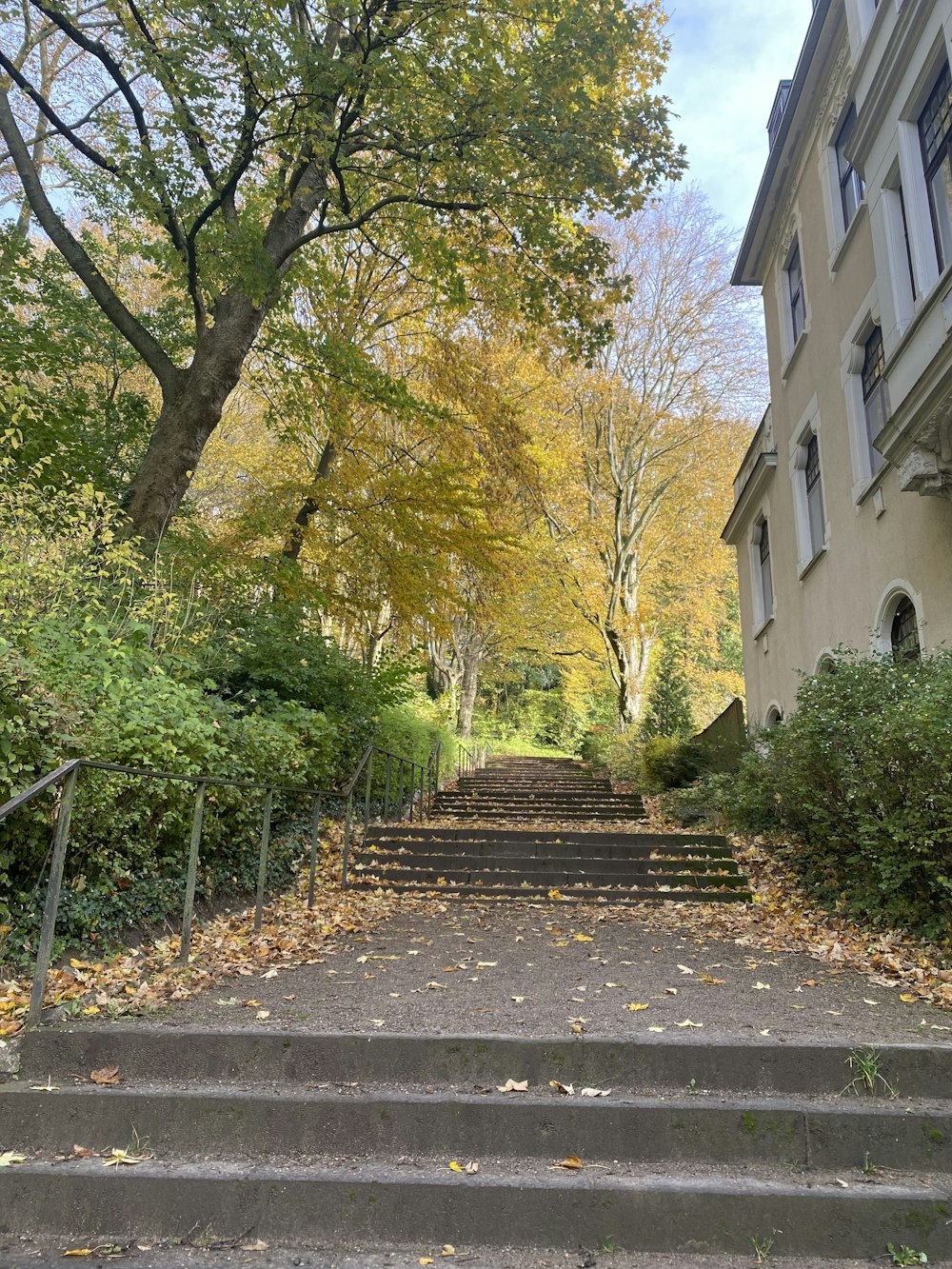 a stone staircase leading up to a building with trees on the side