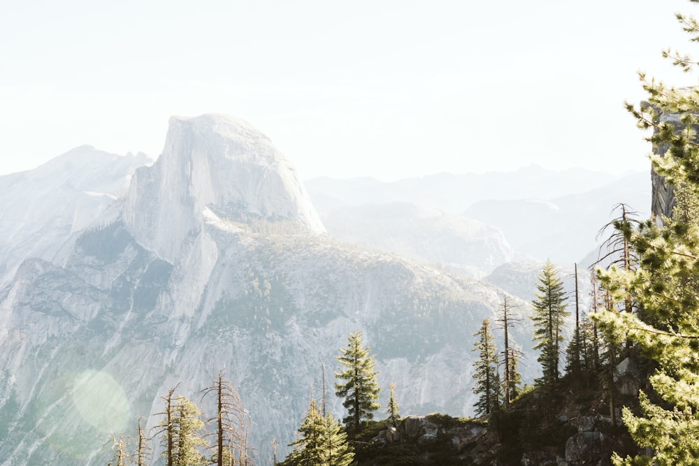 a mountain with trees on it