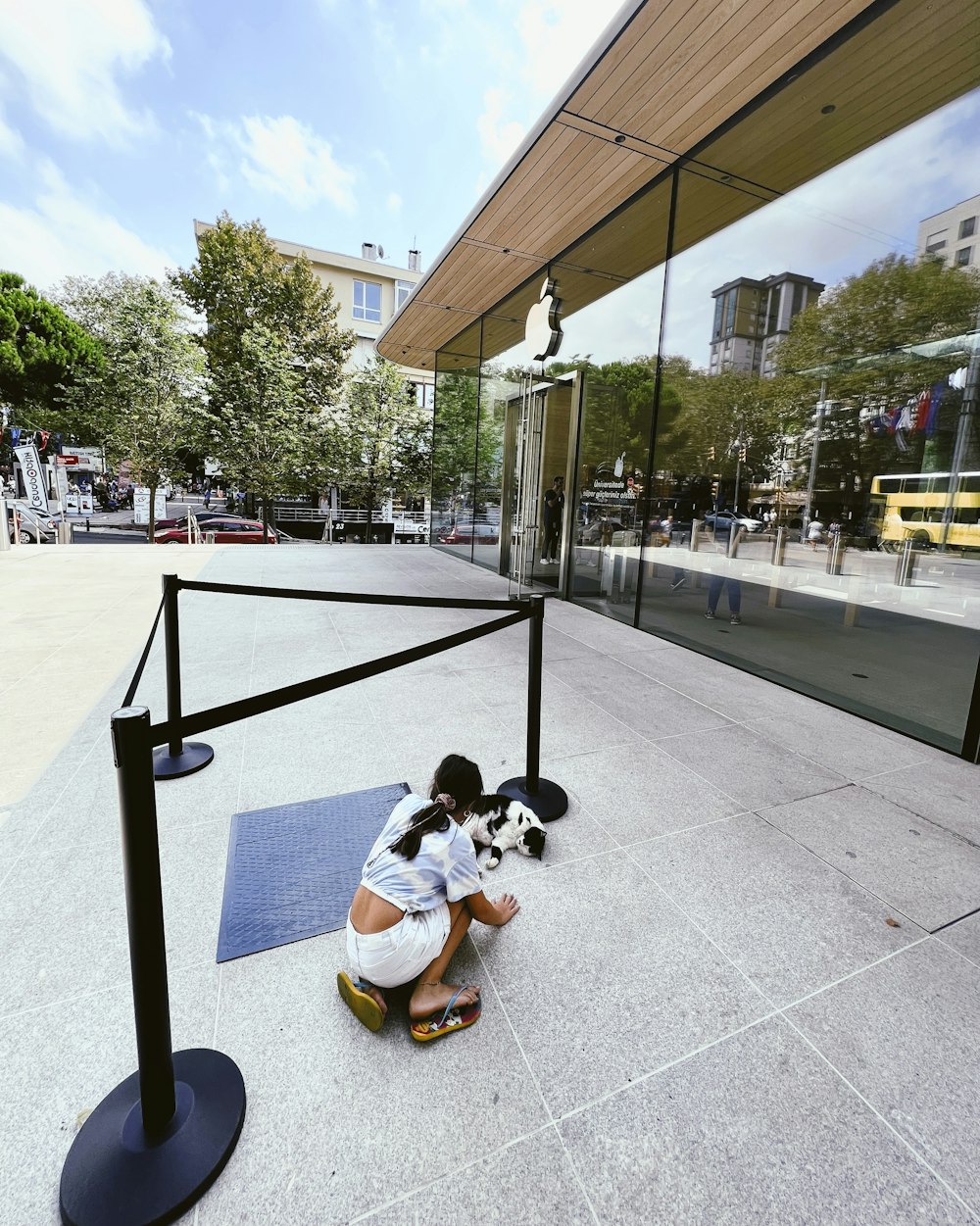 a person sitting on a bench with a dog