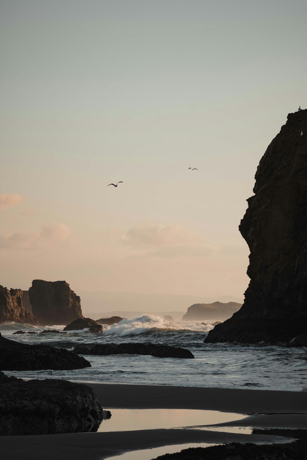 a bird flying over a beach