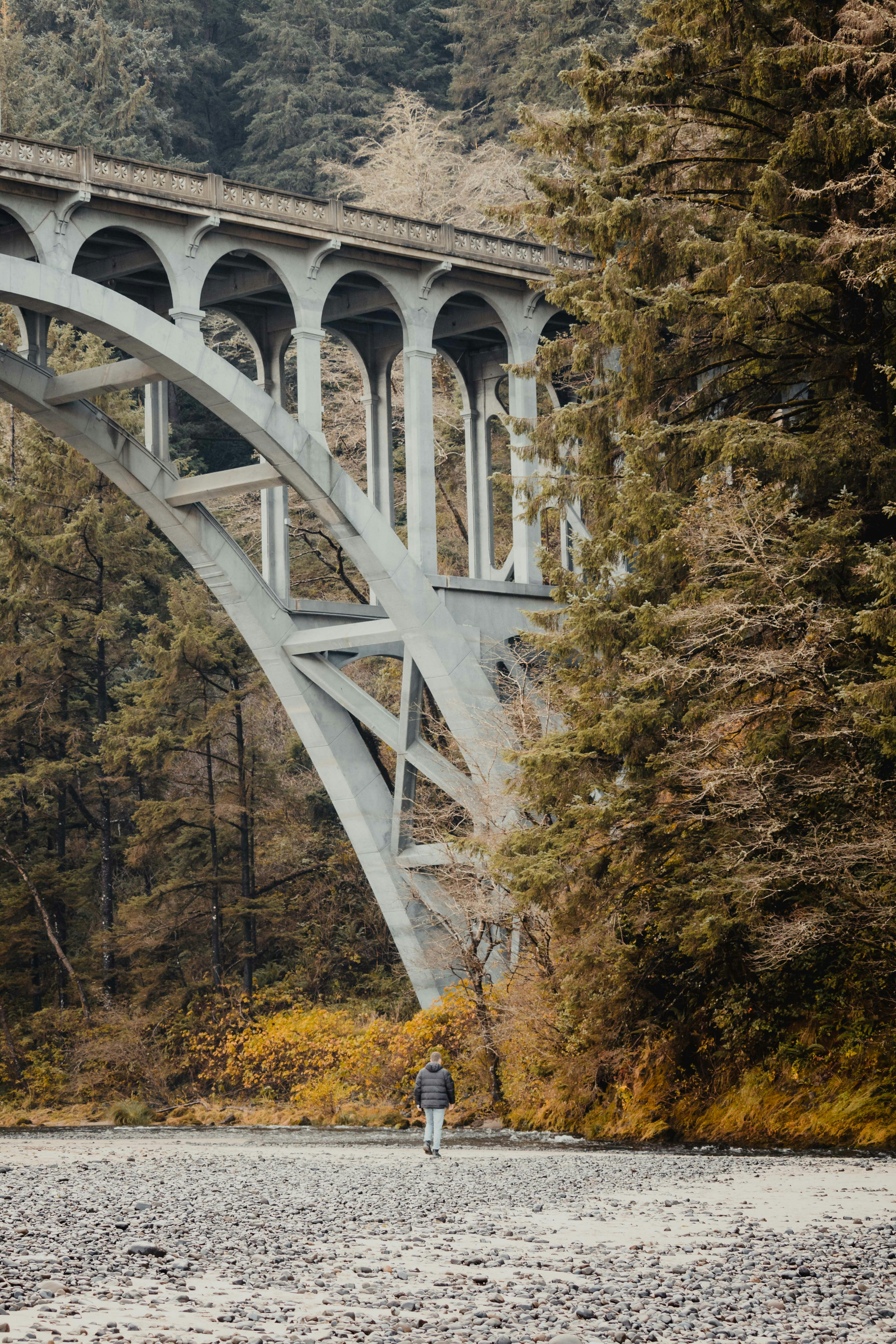 Photo by fineas_anton