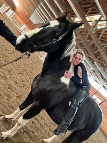 Volunteers caring for horses in the barn, showcasing the community spirit of the center.