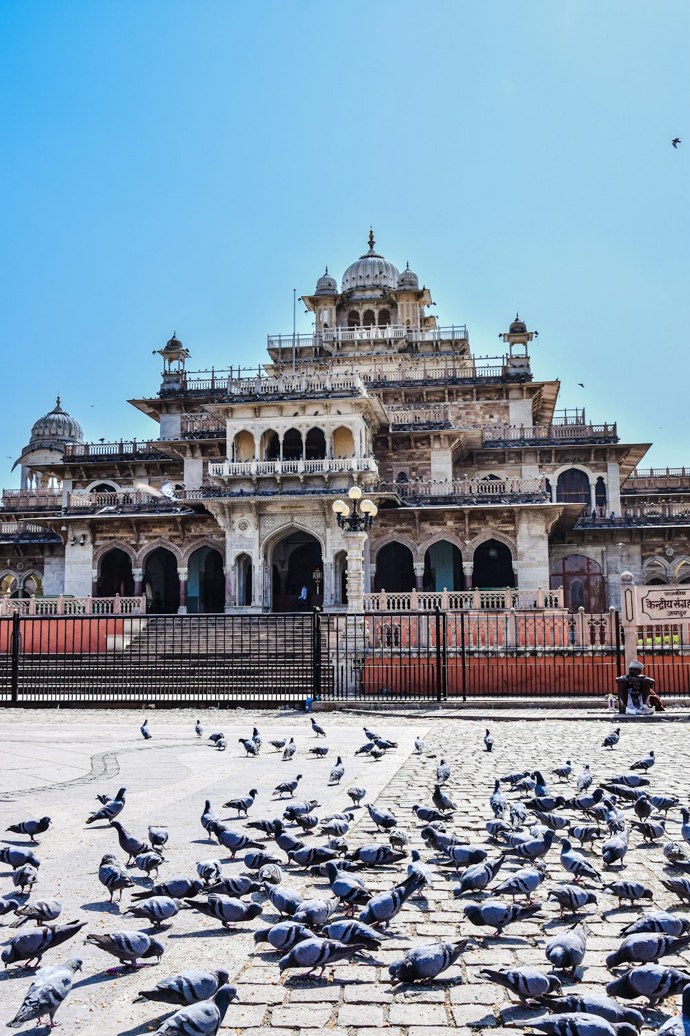 a large group of birds in front of a large building with Albert Hall Museum in the background