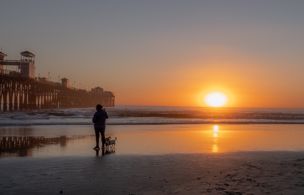 a person walking a dog on a beach