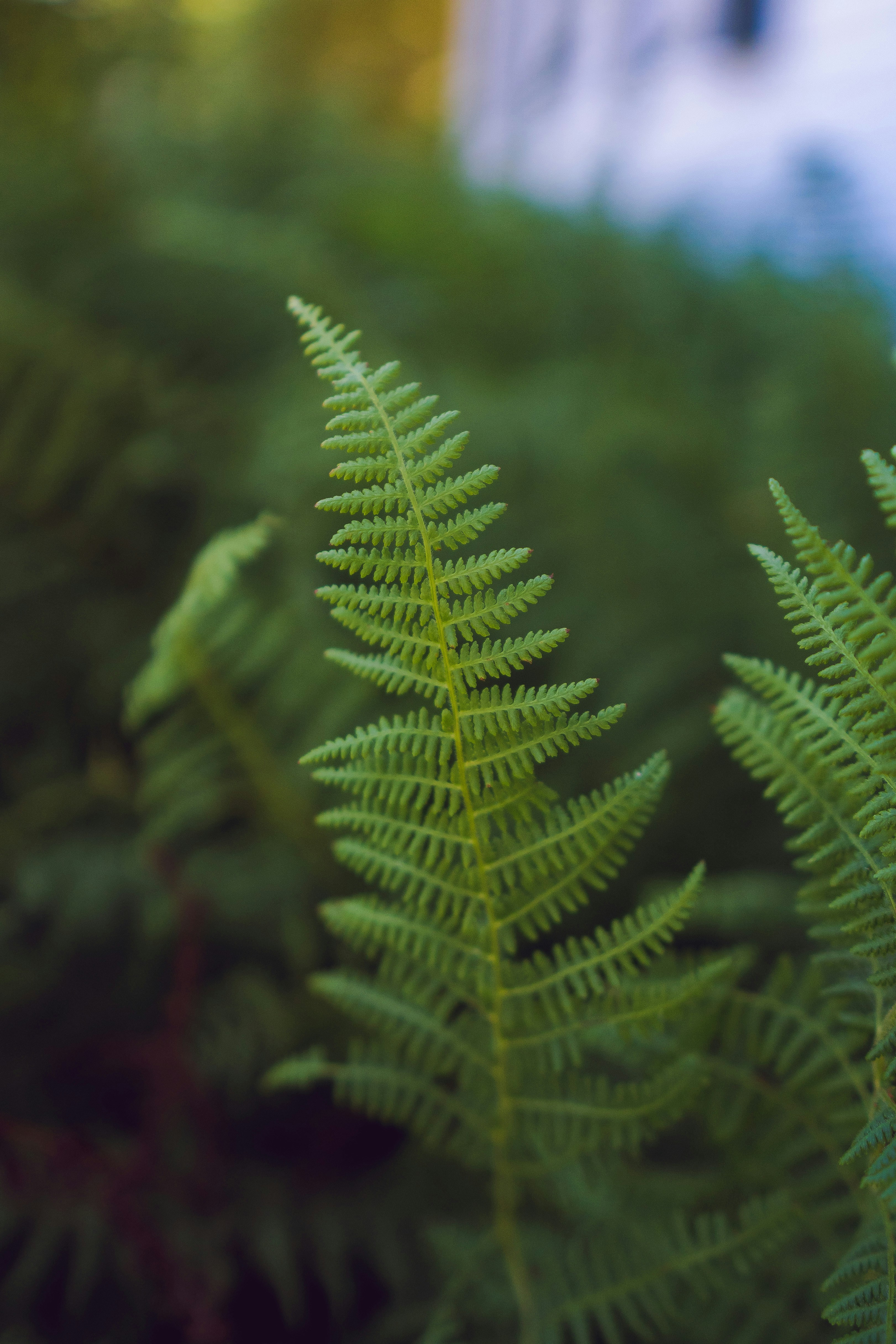 Photo by mannythegrapher