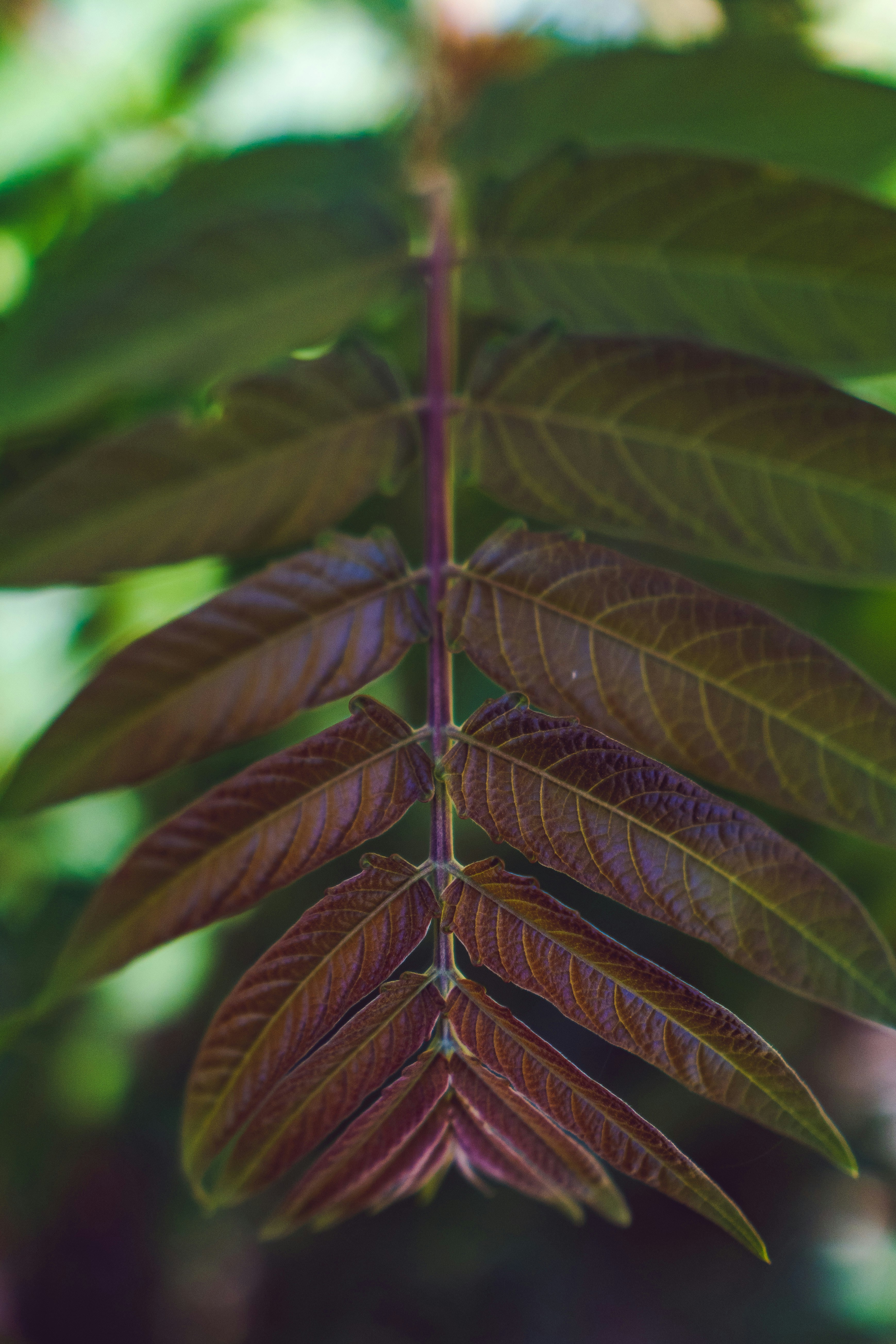 Photo by mannythegrapher