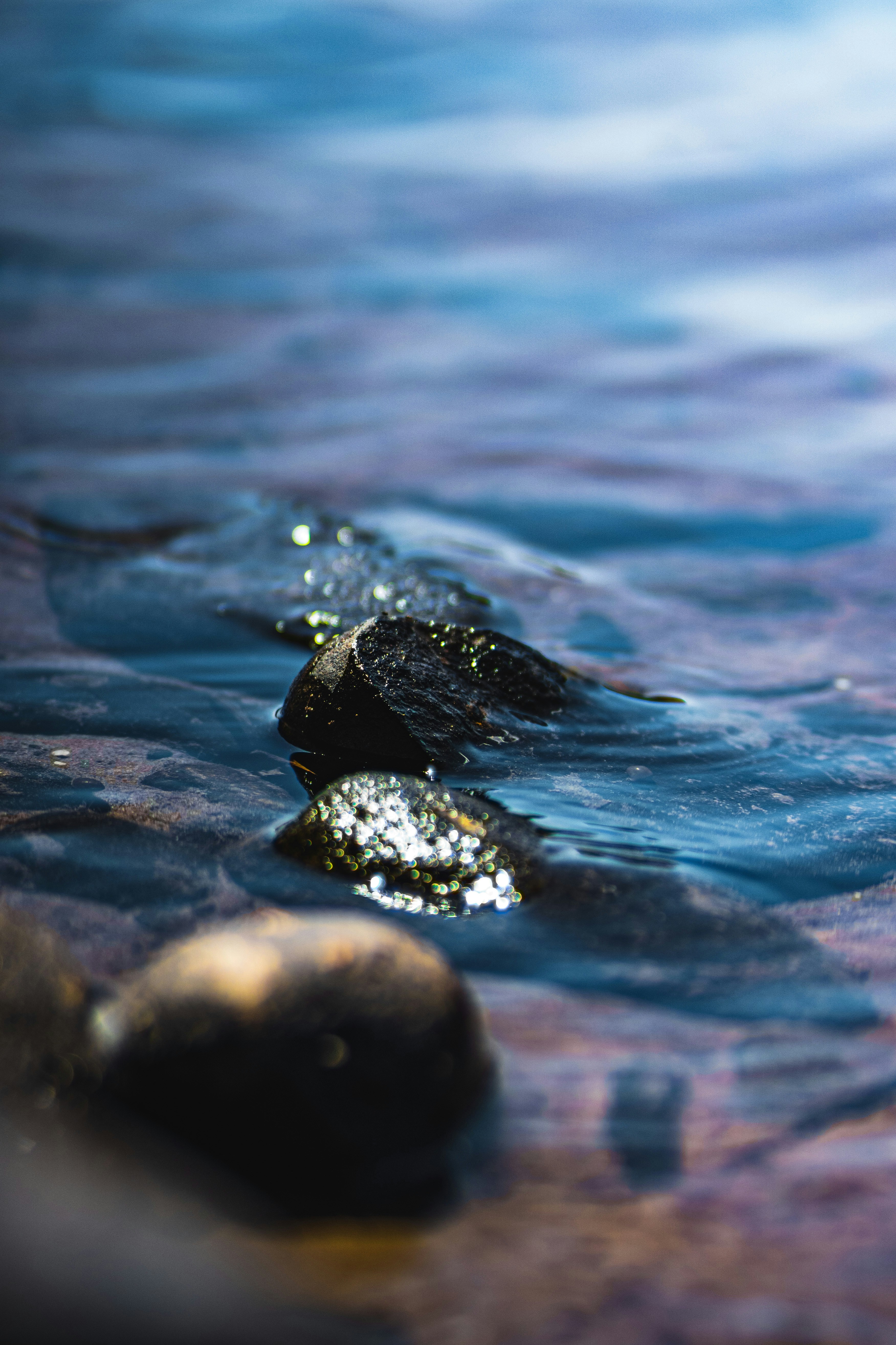 Photo by mannythegrapher