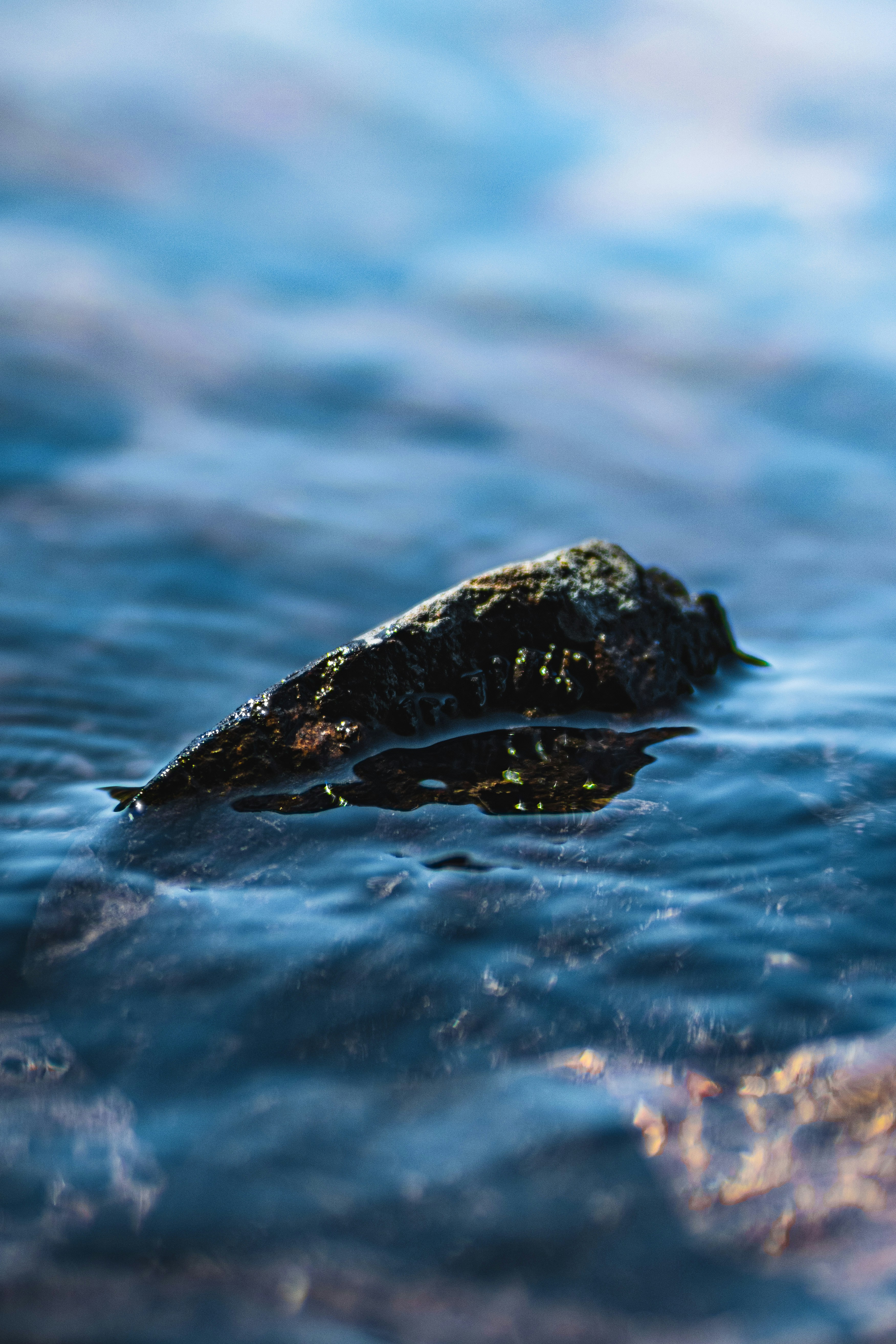 Photo by mannythegrapher