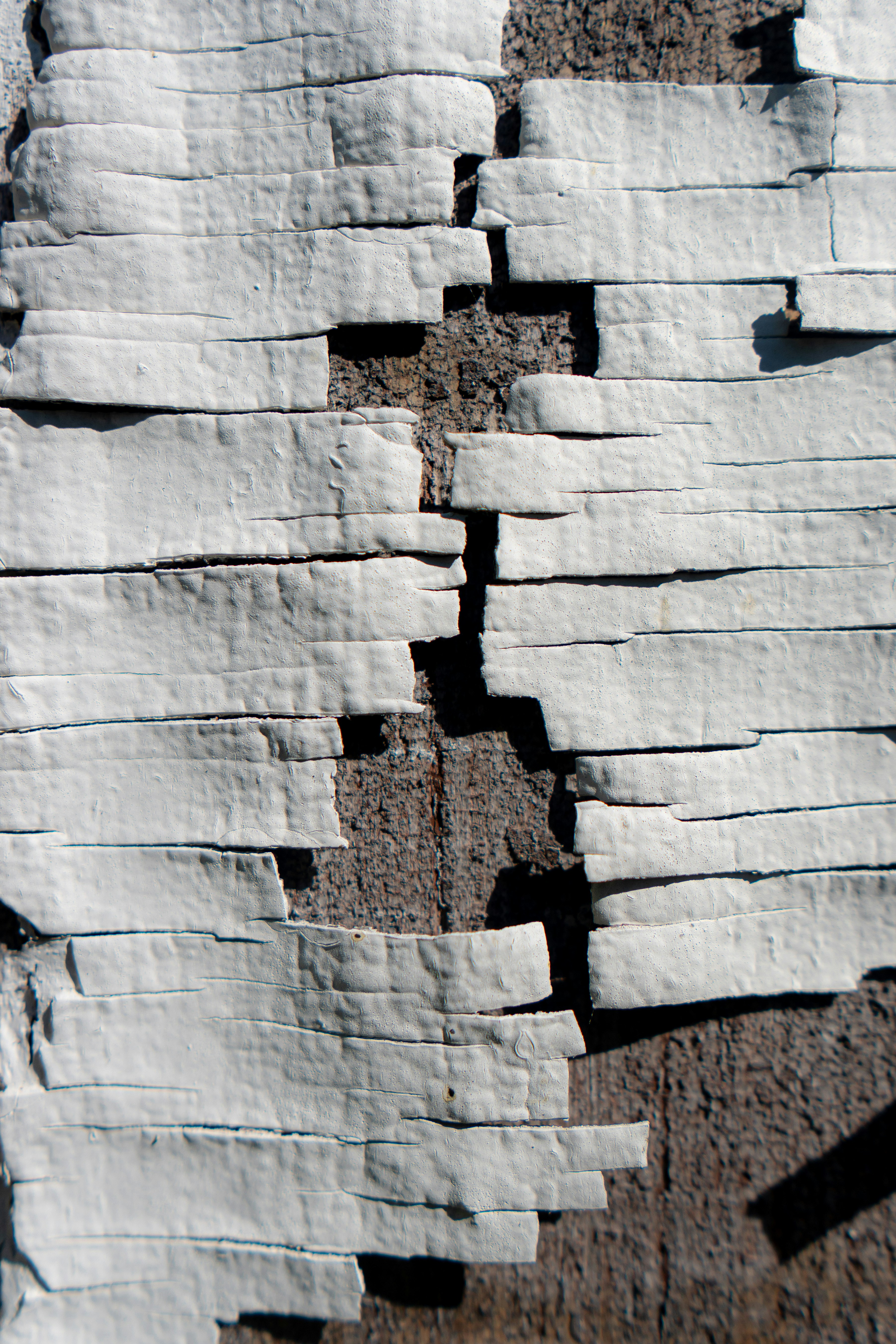 Photo by mannythegrapher