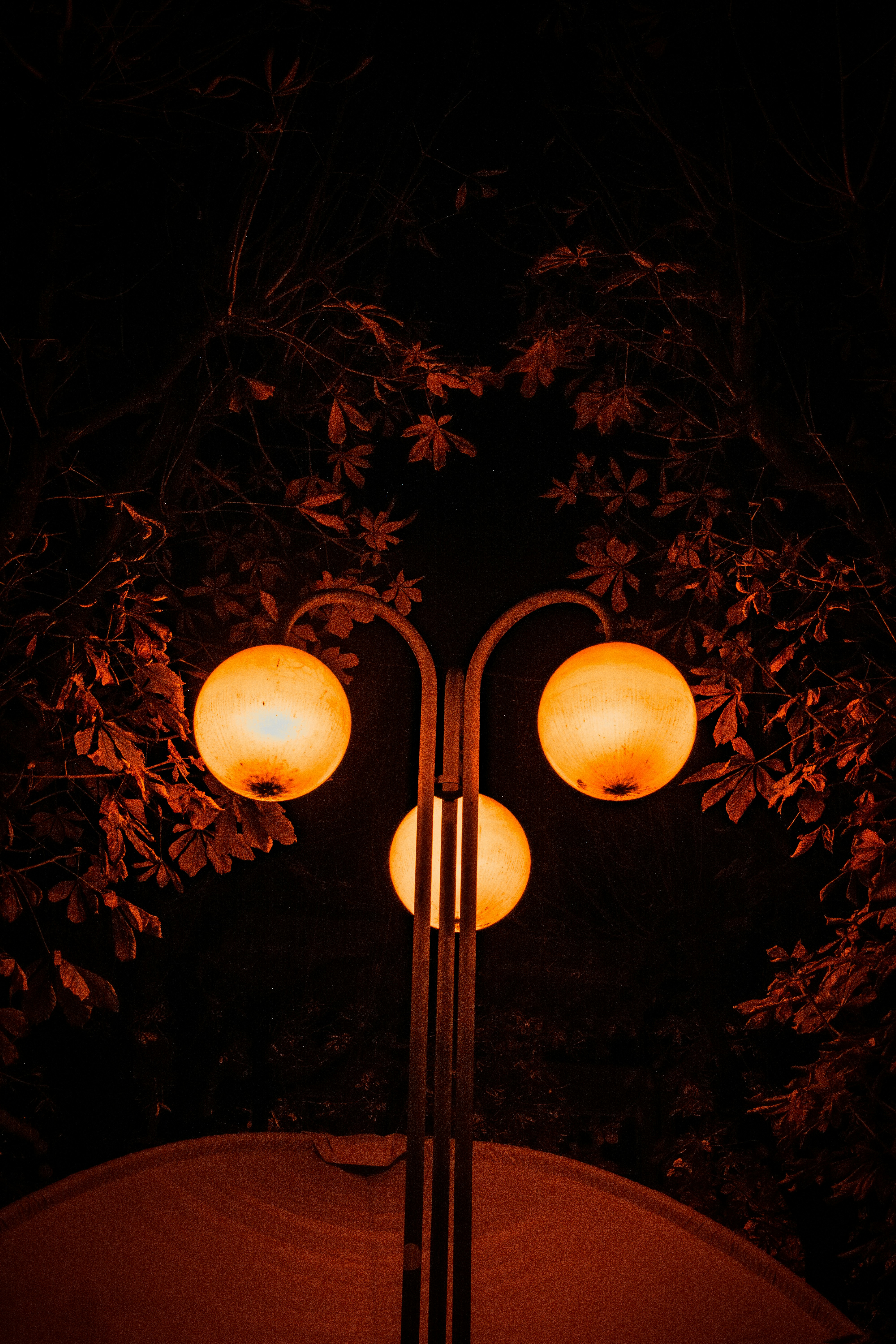 Photo by miguel_ind0