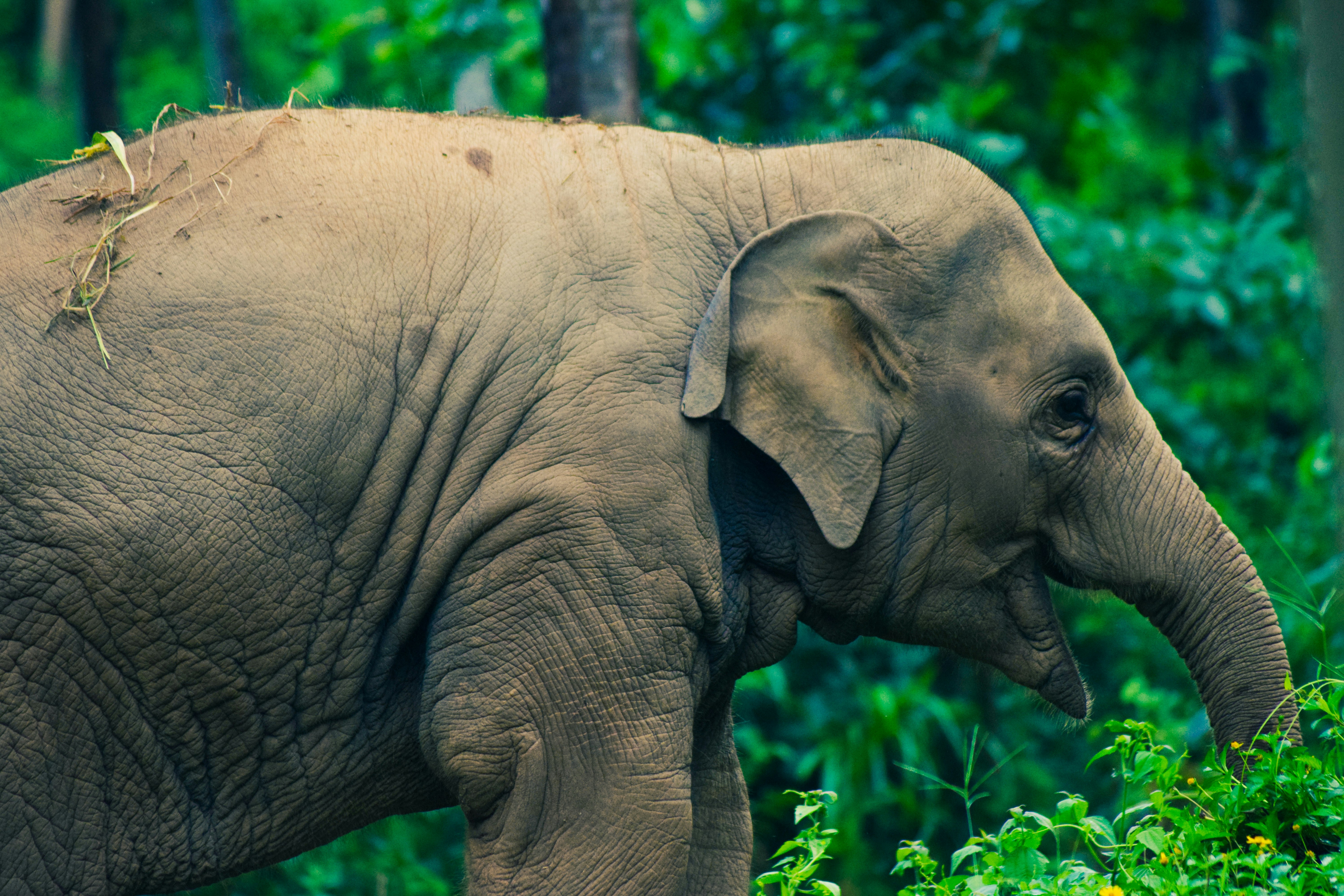 Photo by tarunrajbns