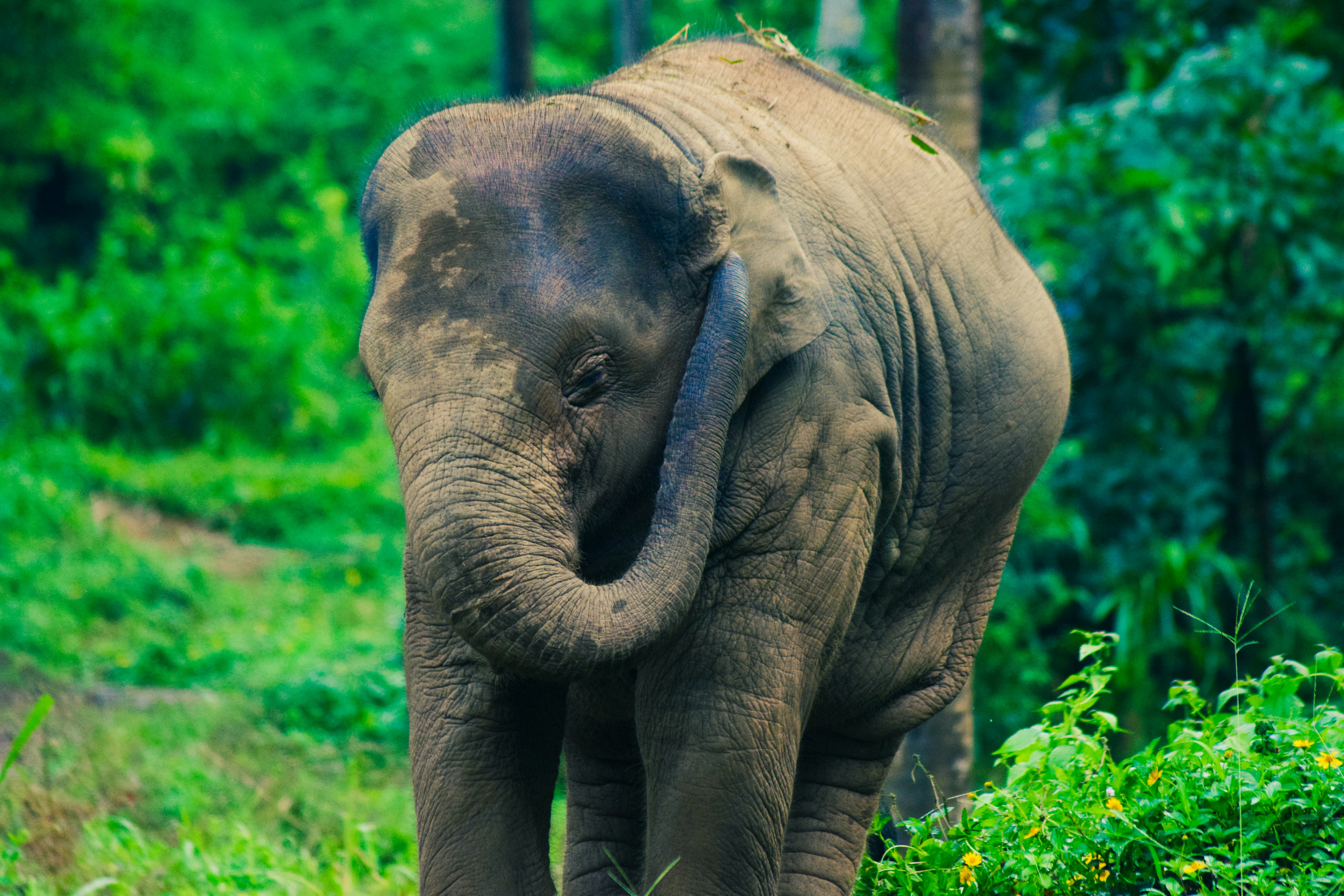 Photo by tarunrajbns