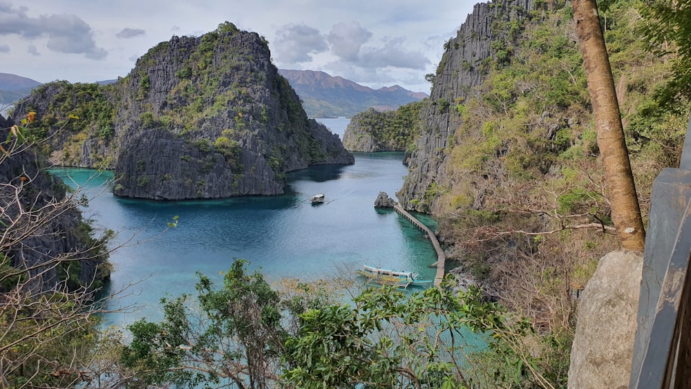 a body of water with a bridge and trees around it