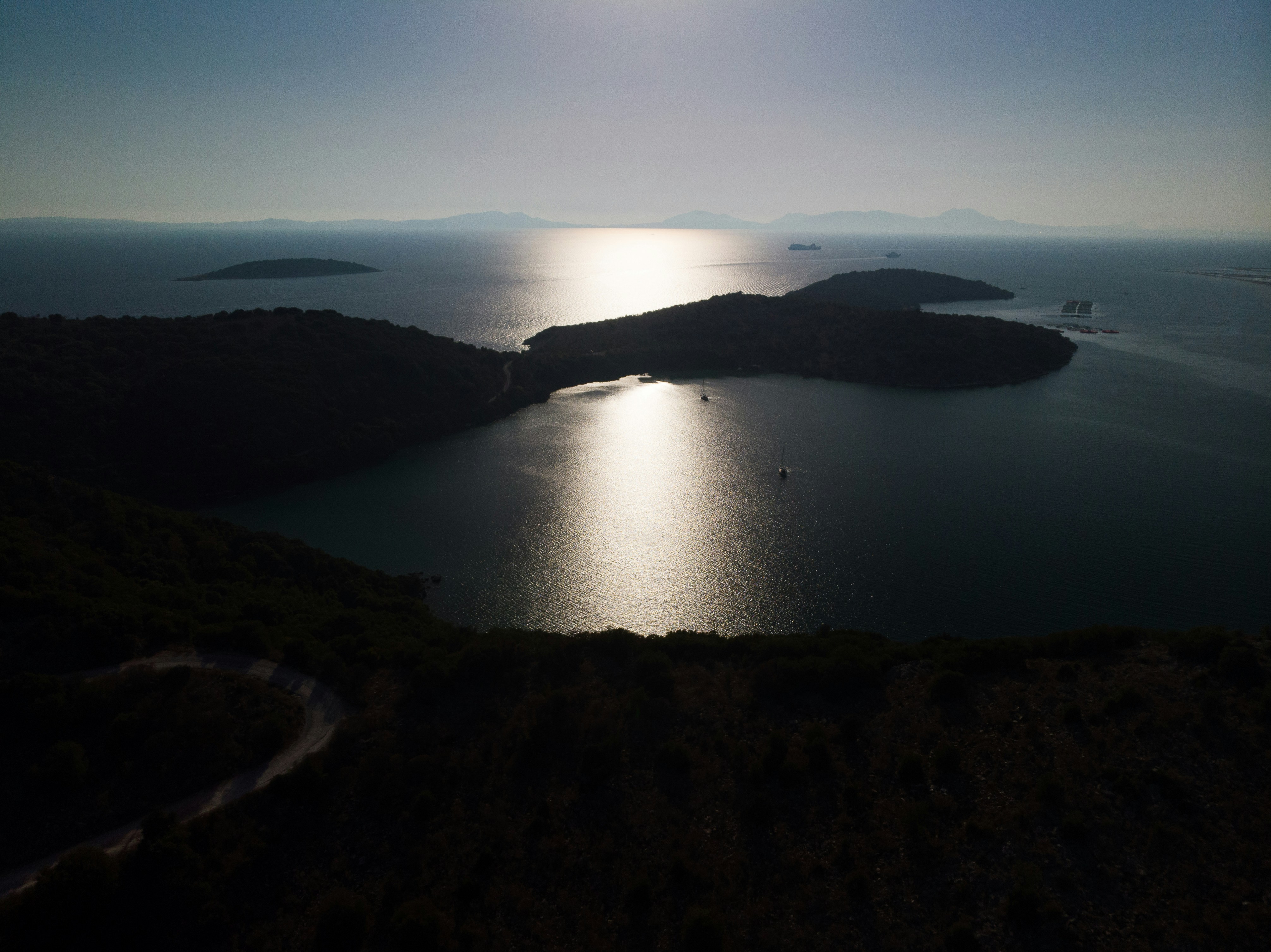 Photo by davidseibert