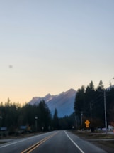 A scenic view of a mountain road surrounded by pine trees.