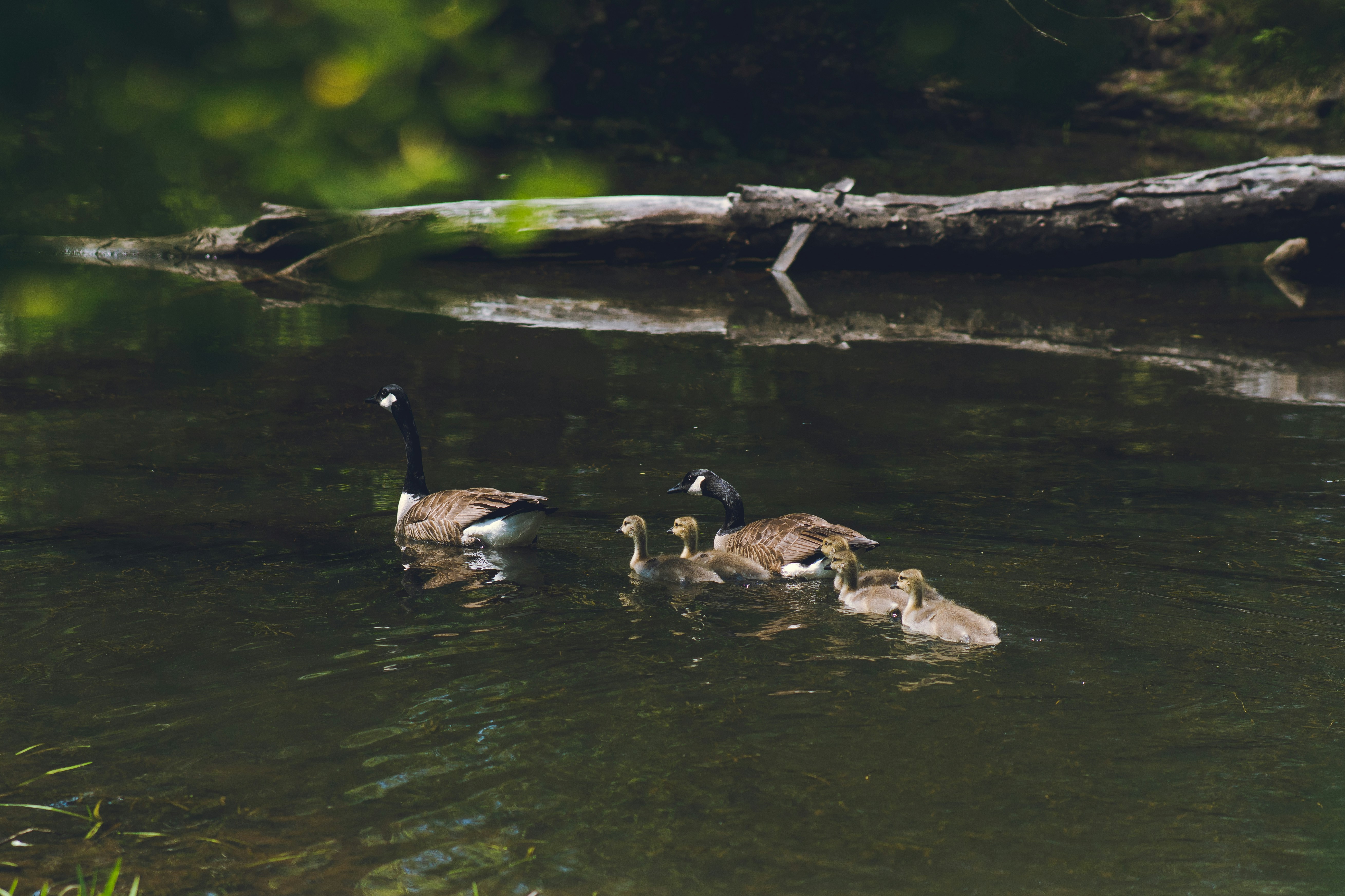 Photo by mannythegrapher