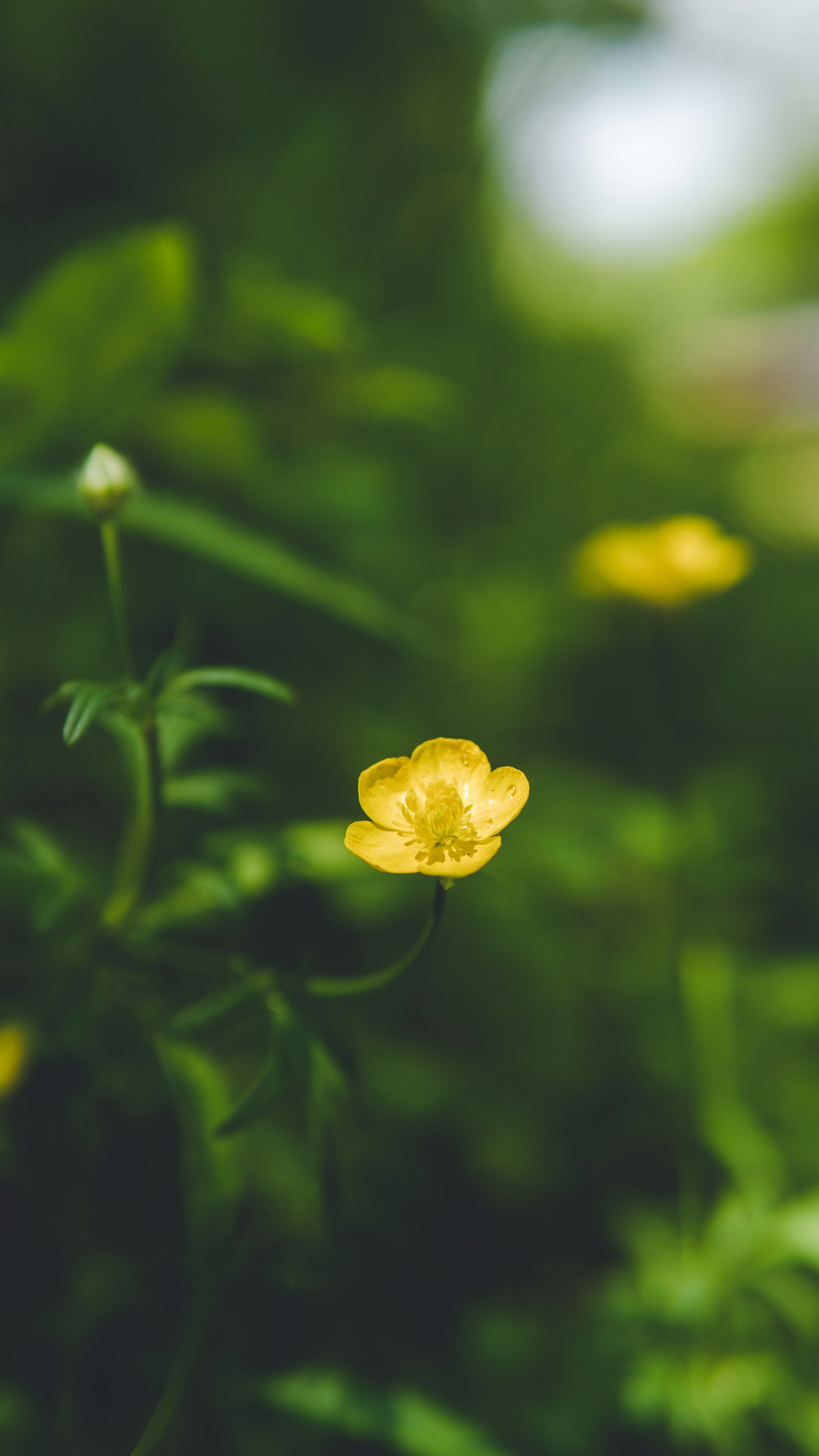 Photo by mannythegrapher