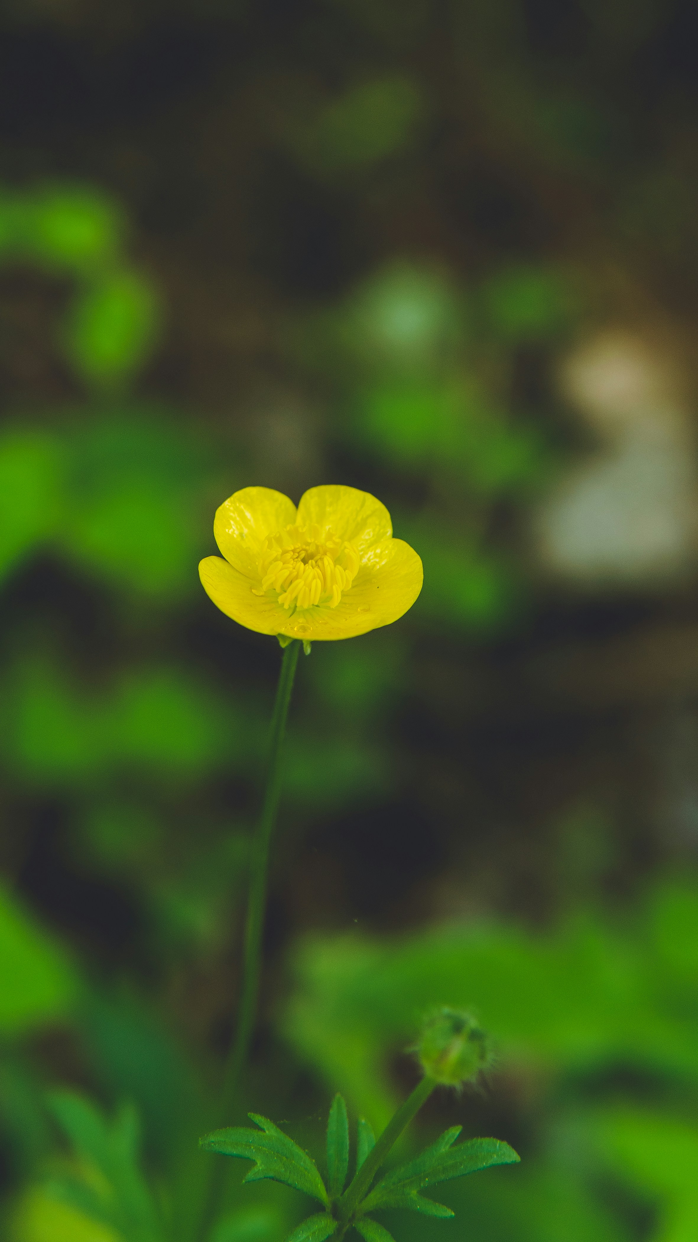 Photo by mannythegrapher