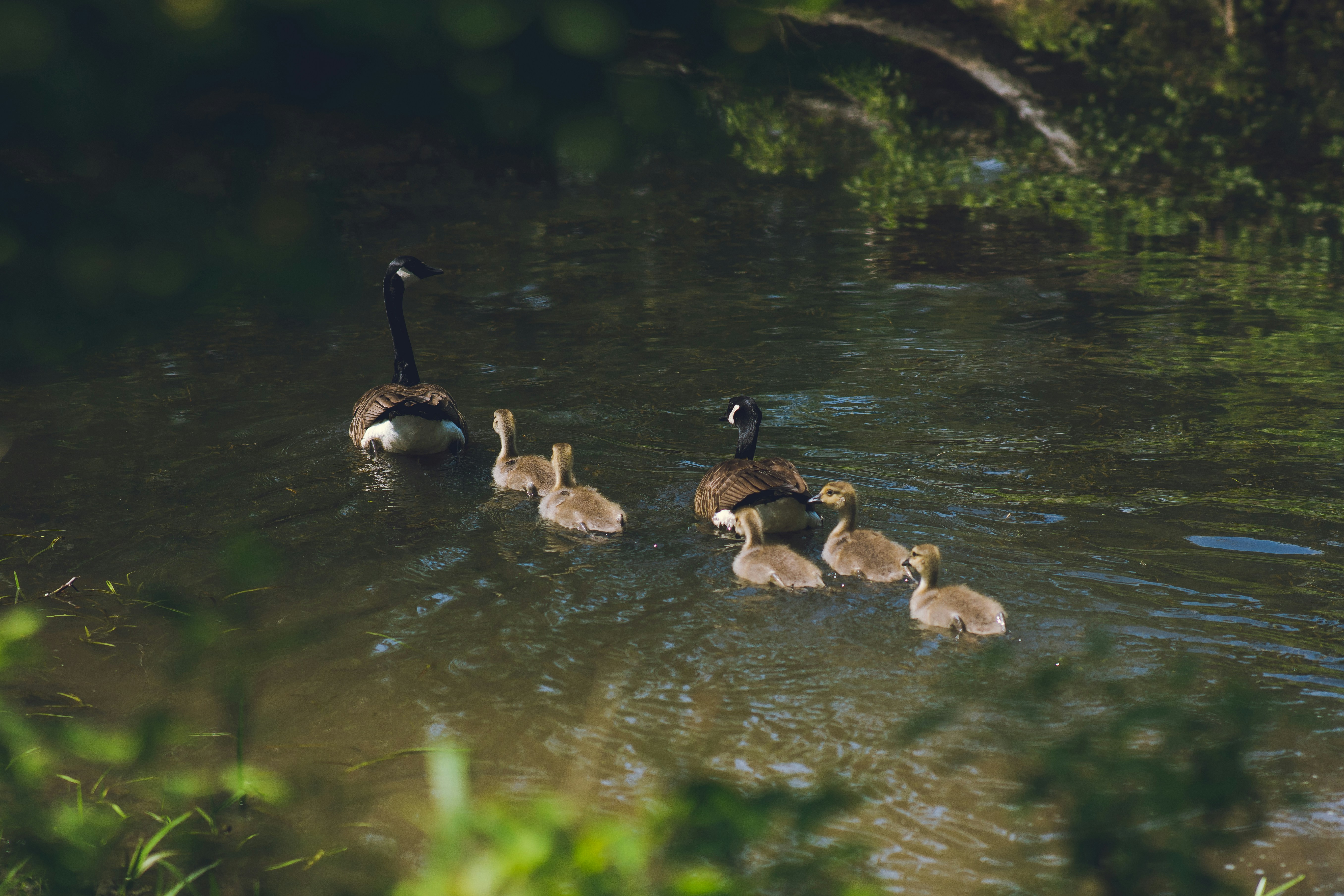 Photo by mannythegrapher