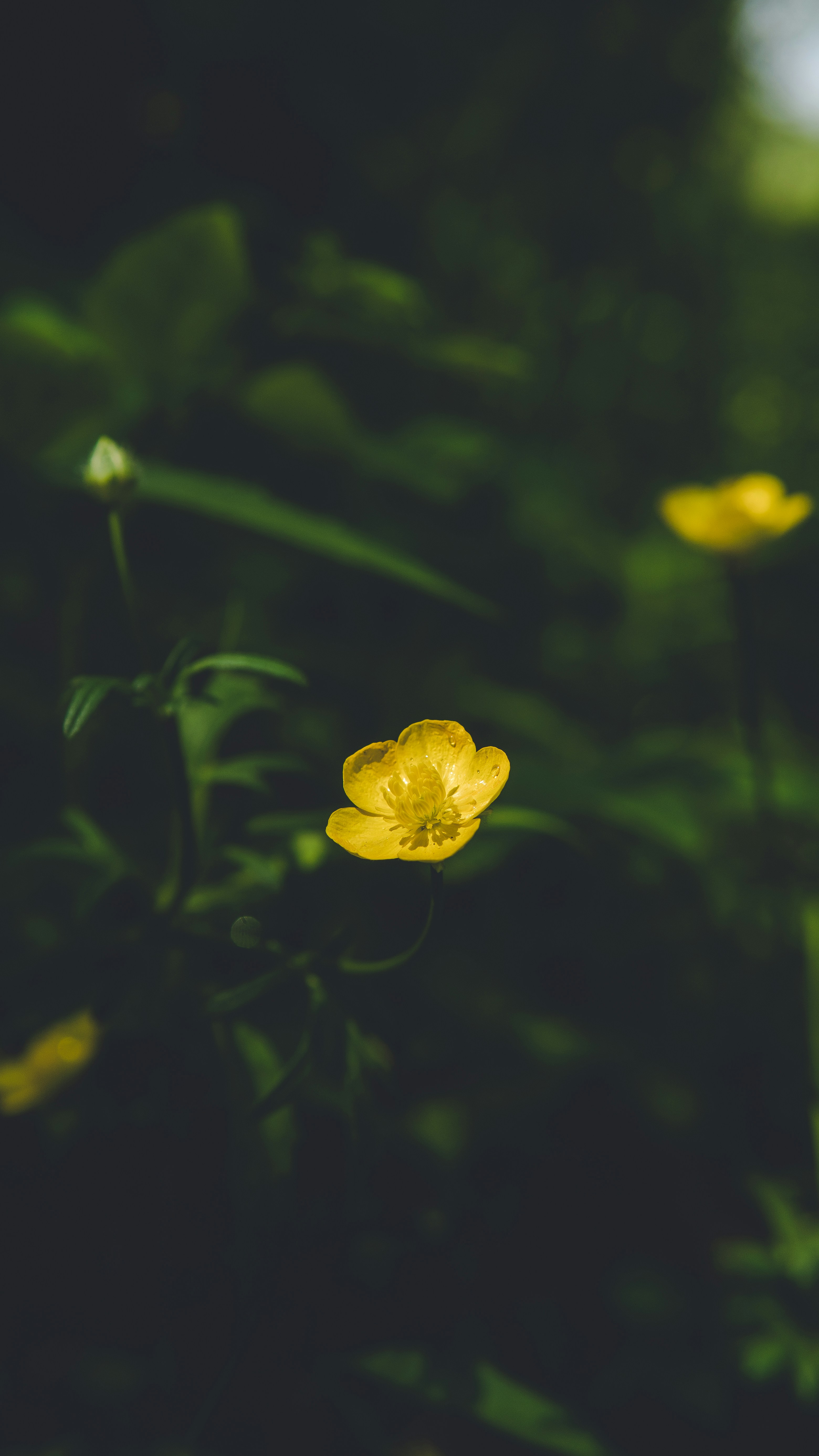 Photo by mannythegrapher