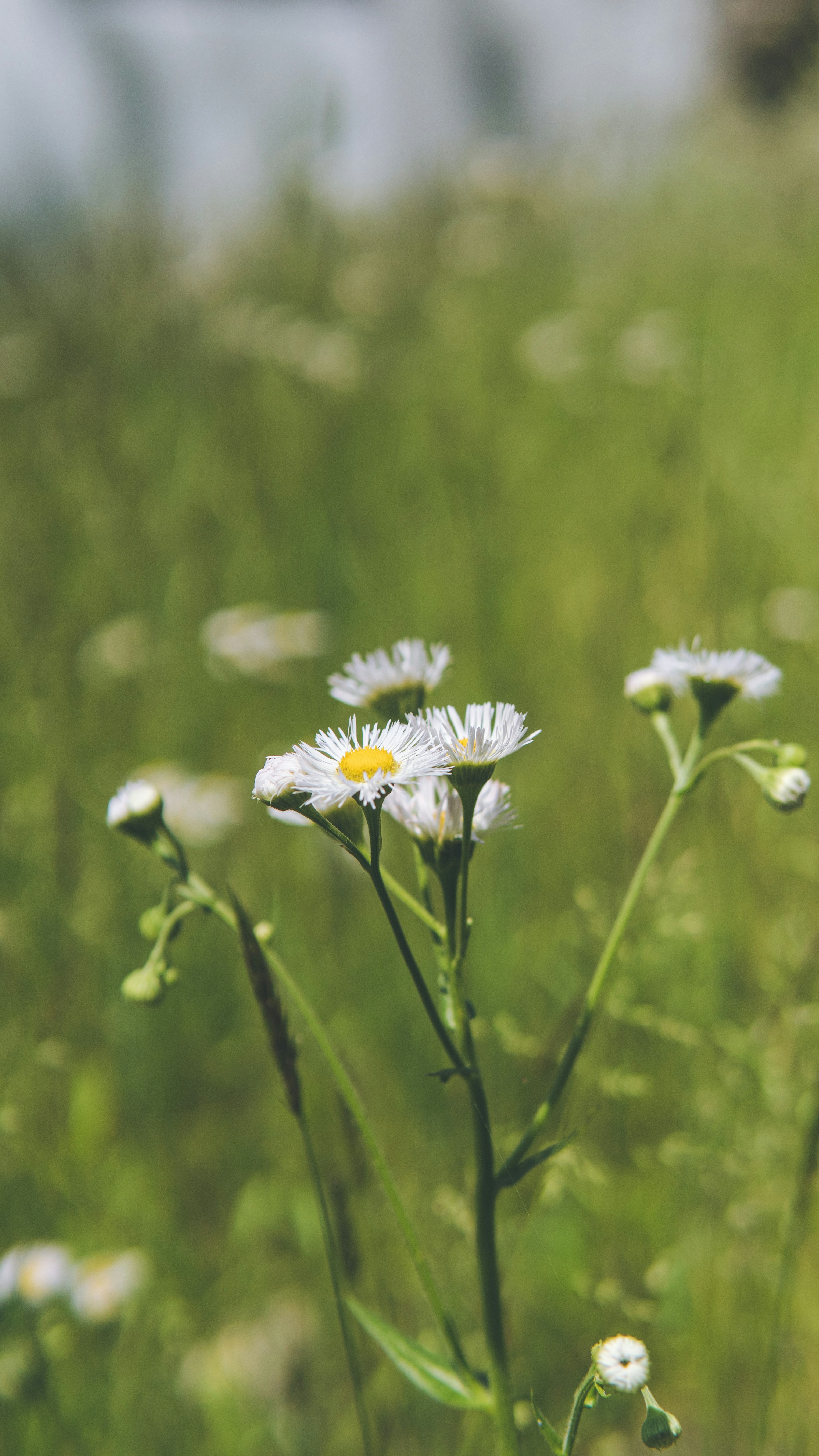 Photo by mannythegrapher