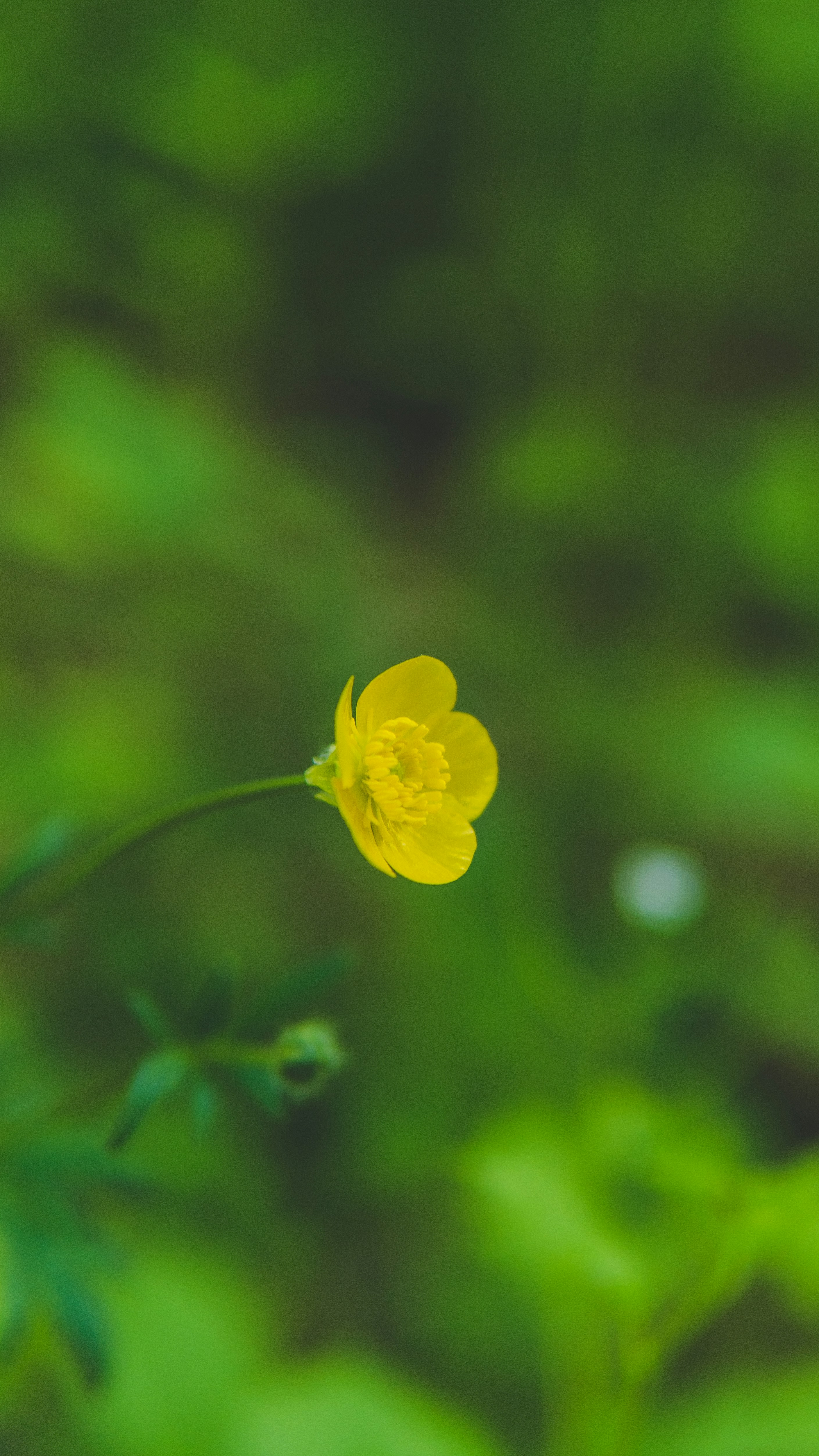 Photo by mannythegrapher