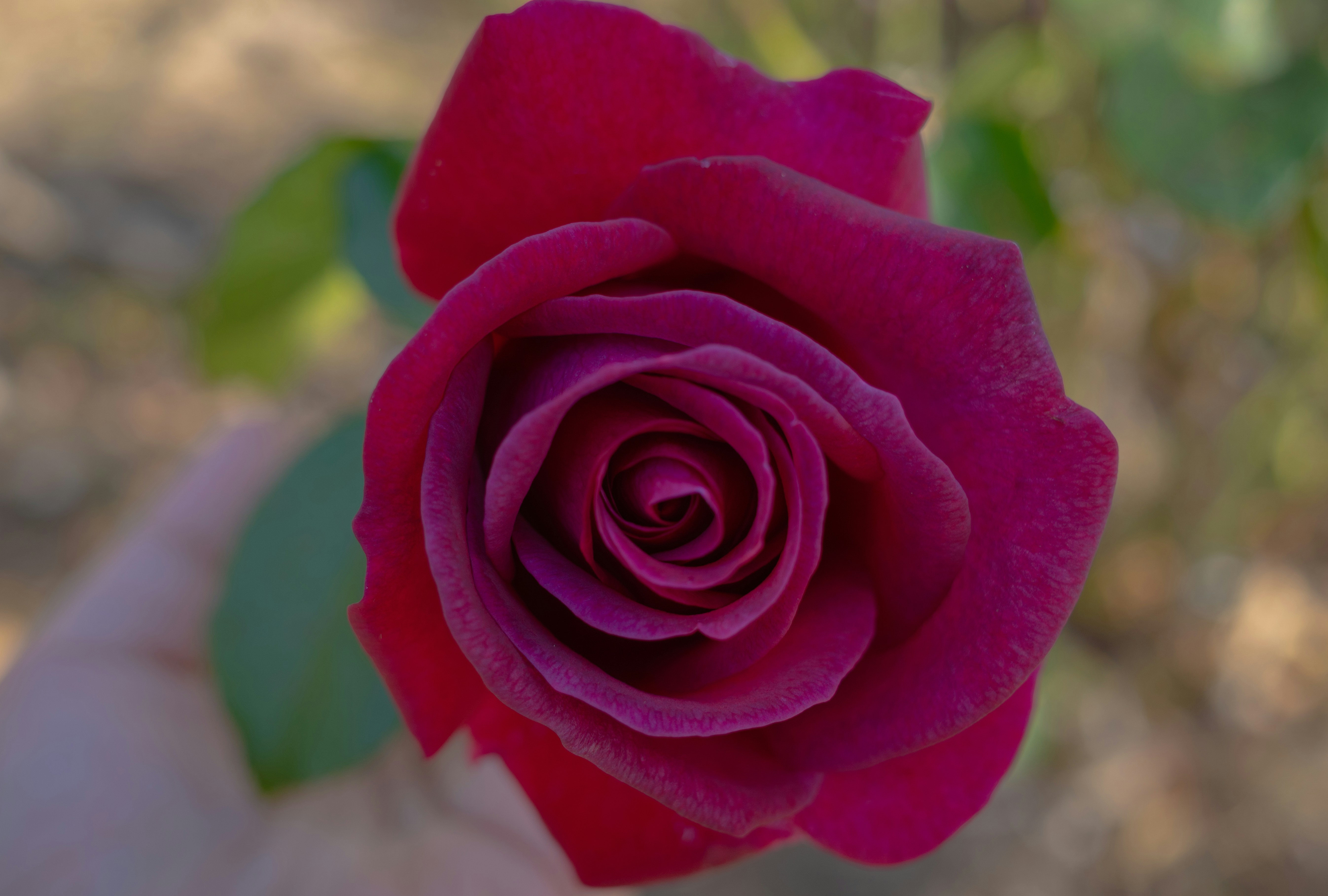 Photo by april_vasquez