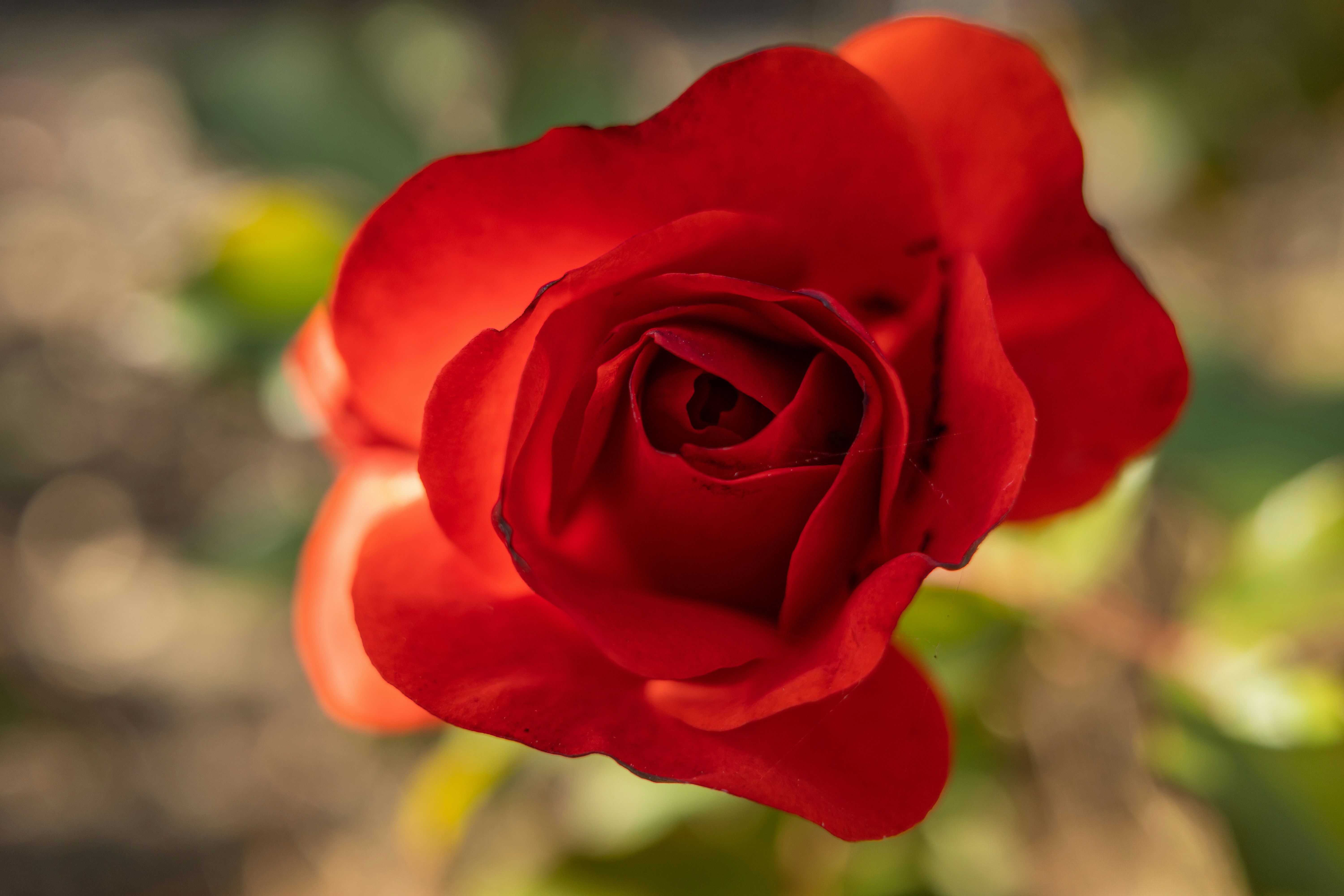 Photo by april_vasquez