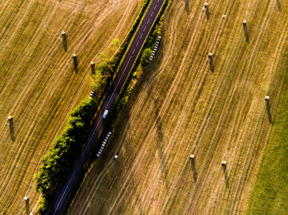 a group of people walking on a road