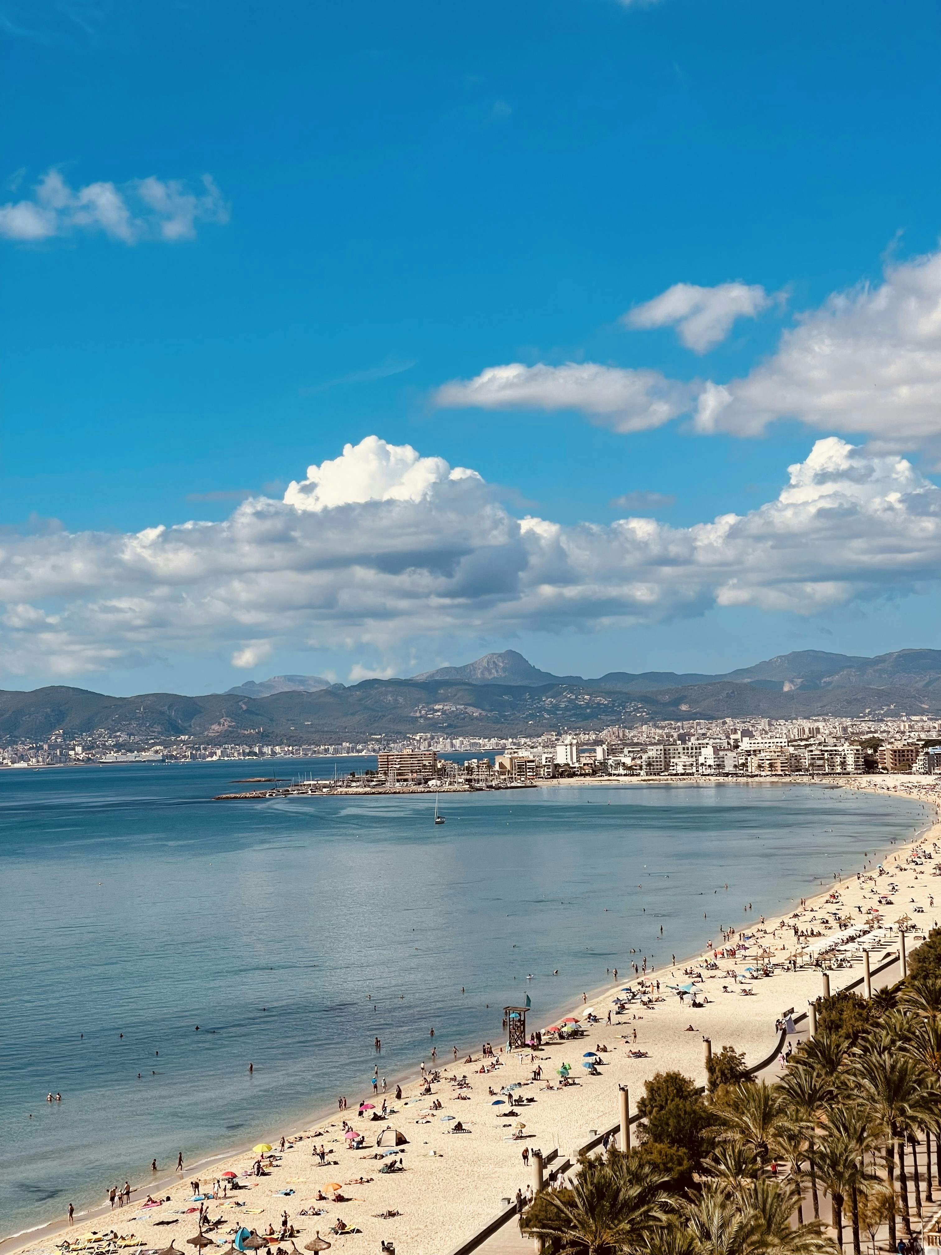 IA profesional para servicios de análisis de llamadas en Palma